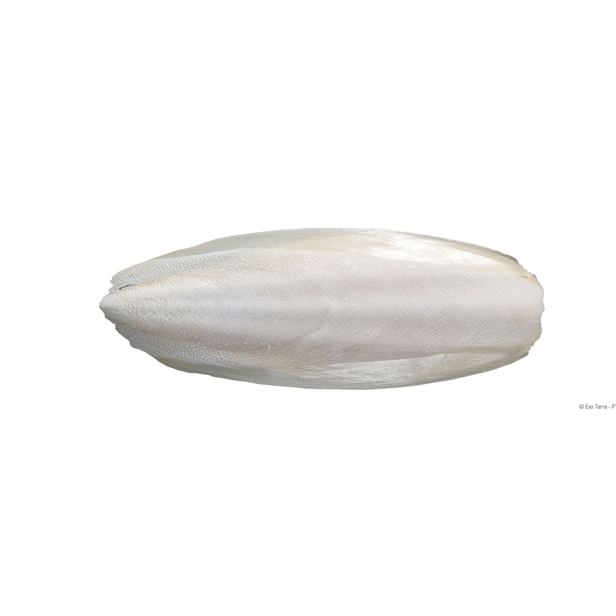 Exo Terra® Sepia Bones Reptile Supplement