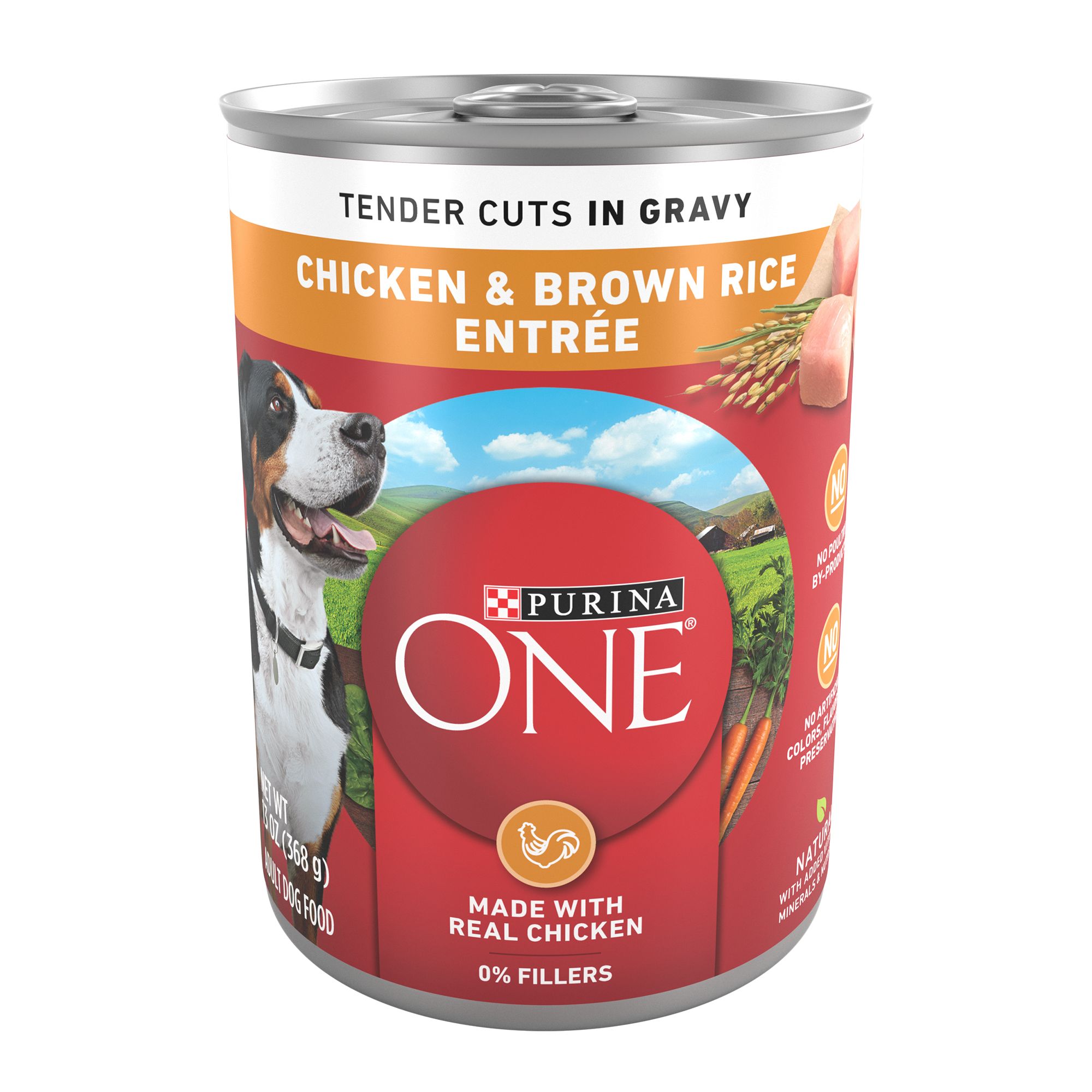 Purina ONE SmartBlend Everyday Nutrition Adult Dog Wet Food - 13 oz., Natural, Flavor: Chicken | PetSmart Brown