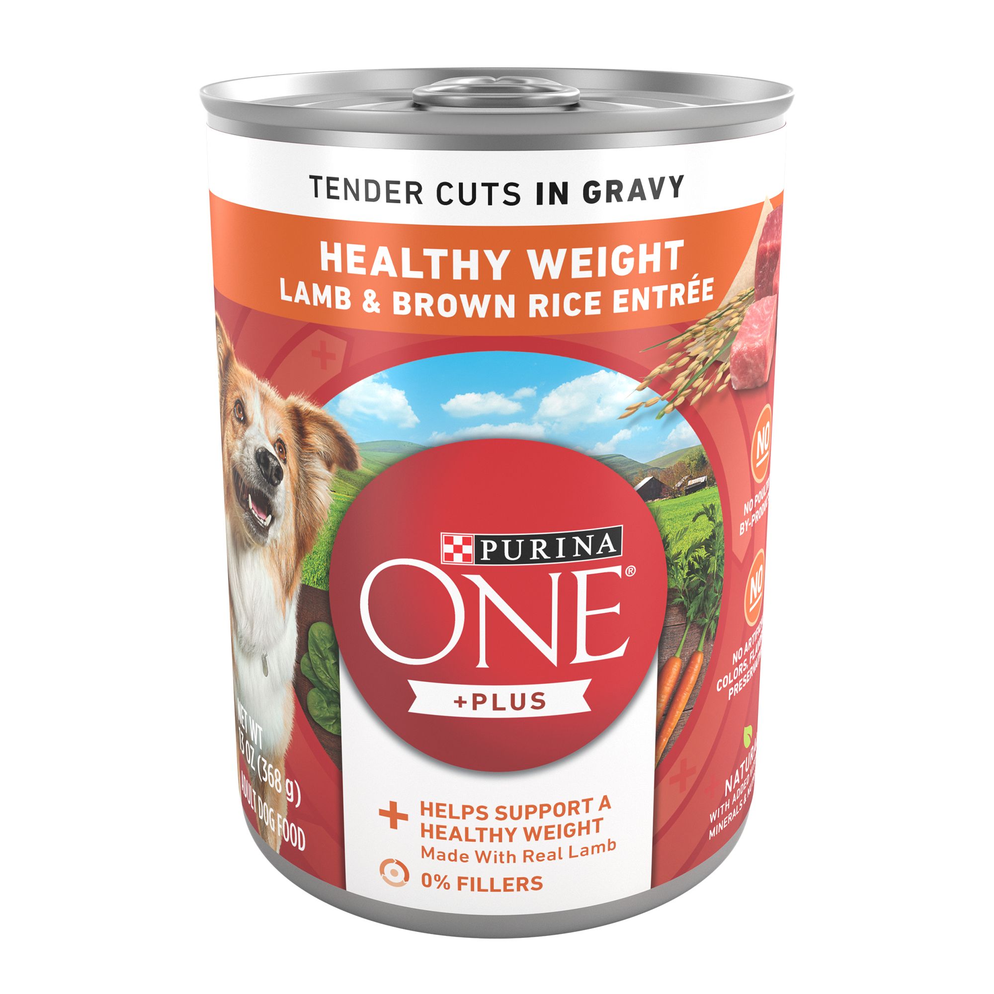Purina ONE SmartBlend Everyday Nutrition Adult Dog Wet Food - 13 oz., Natural, Flavor: Lamb | PetSmart Brown