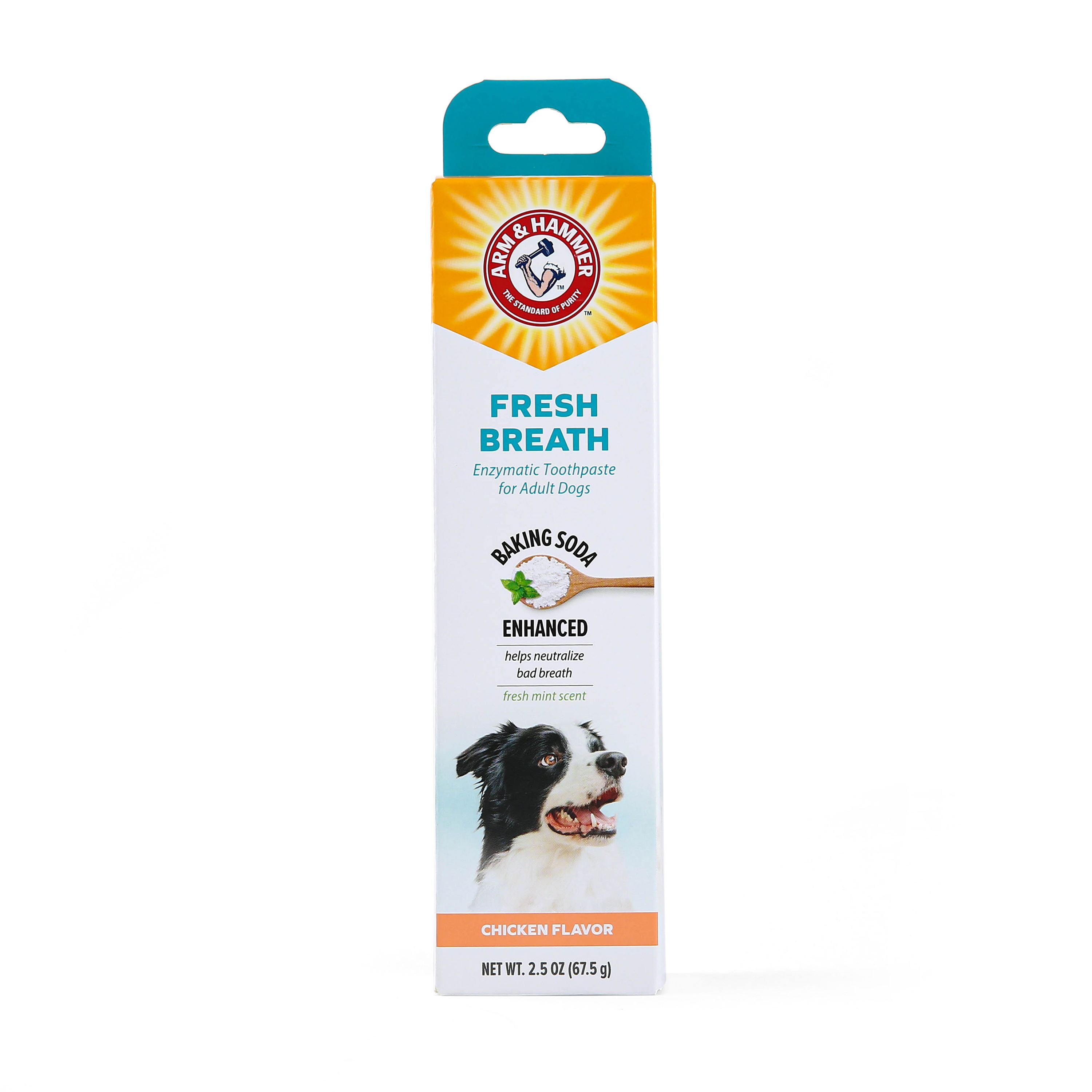 Arm & Hammer Fresh Breath Enzymatic Dog Toothpaste - Chicken (2.5 Oz)