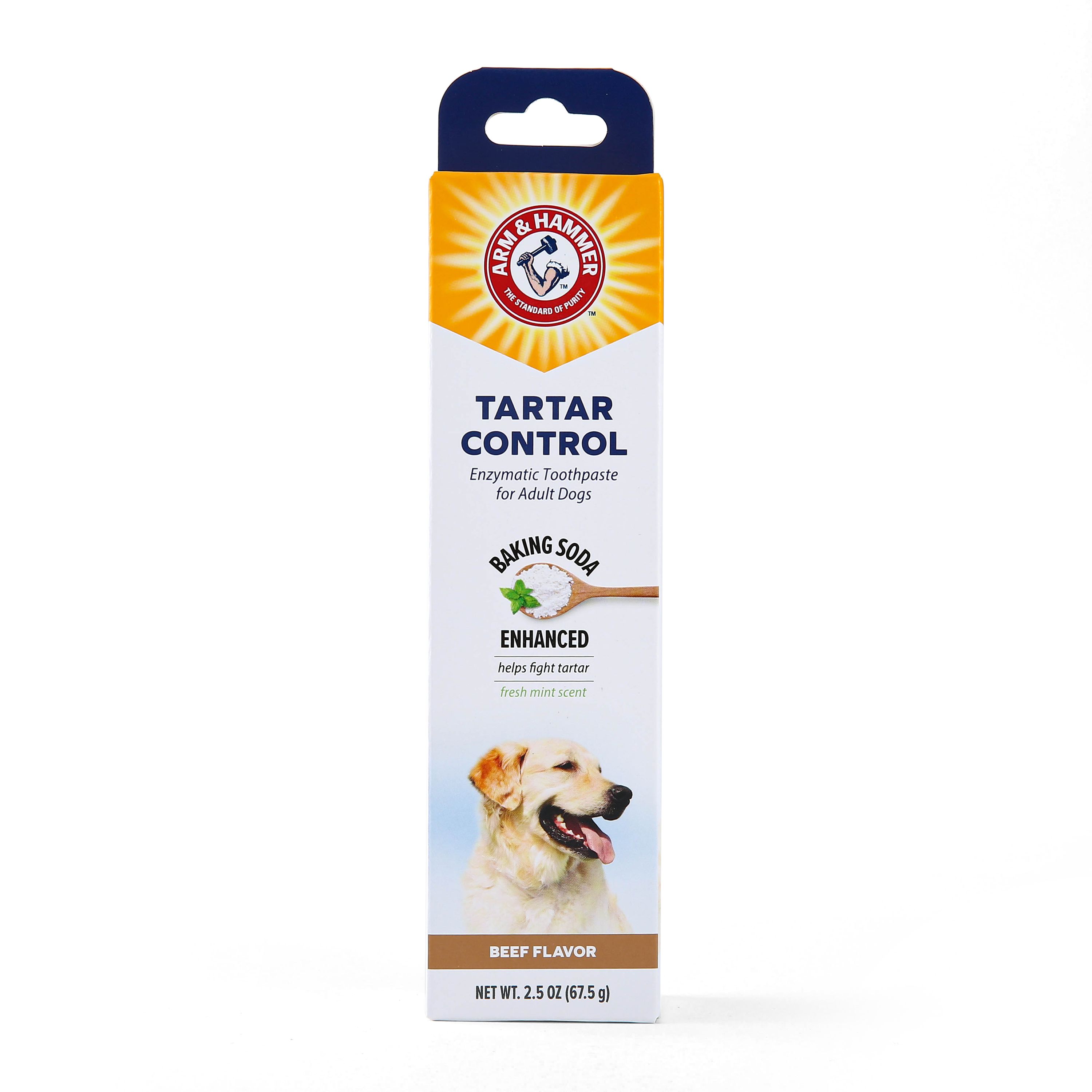 Arm & Hammer Tartar Control Enzymatic Dog Toothpaste - Beef (2.5 Oz)