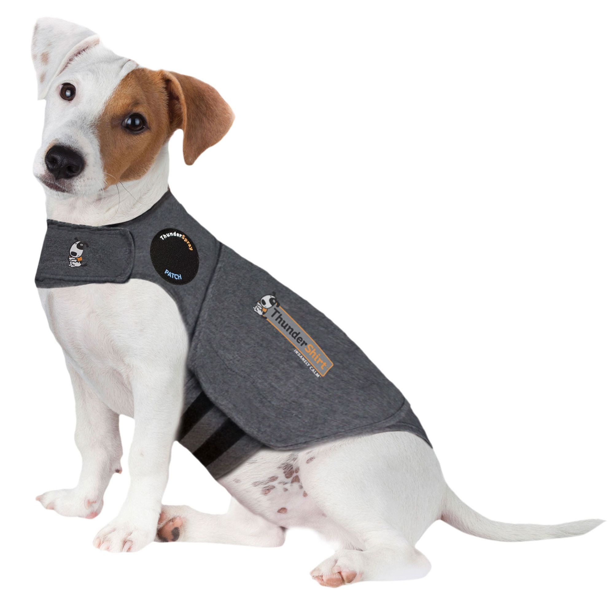 amazon dog thunder shirts