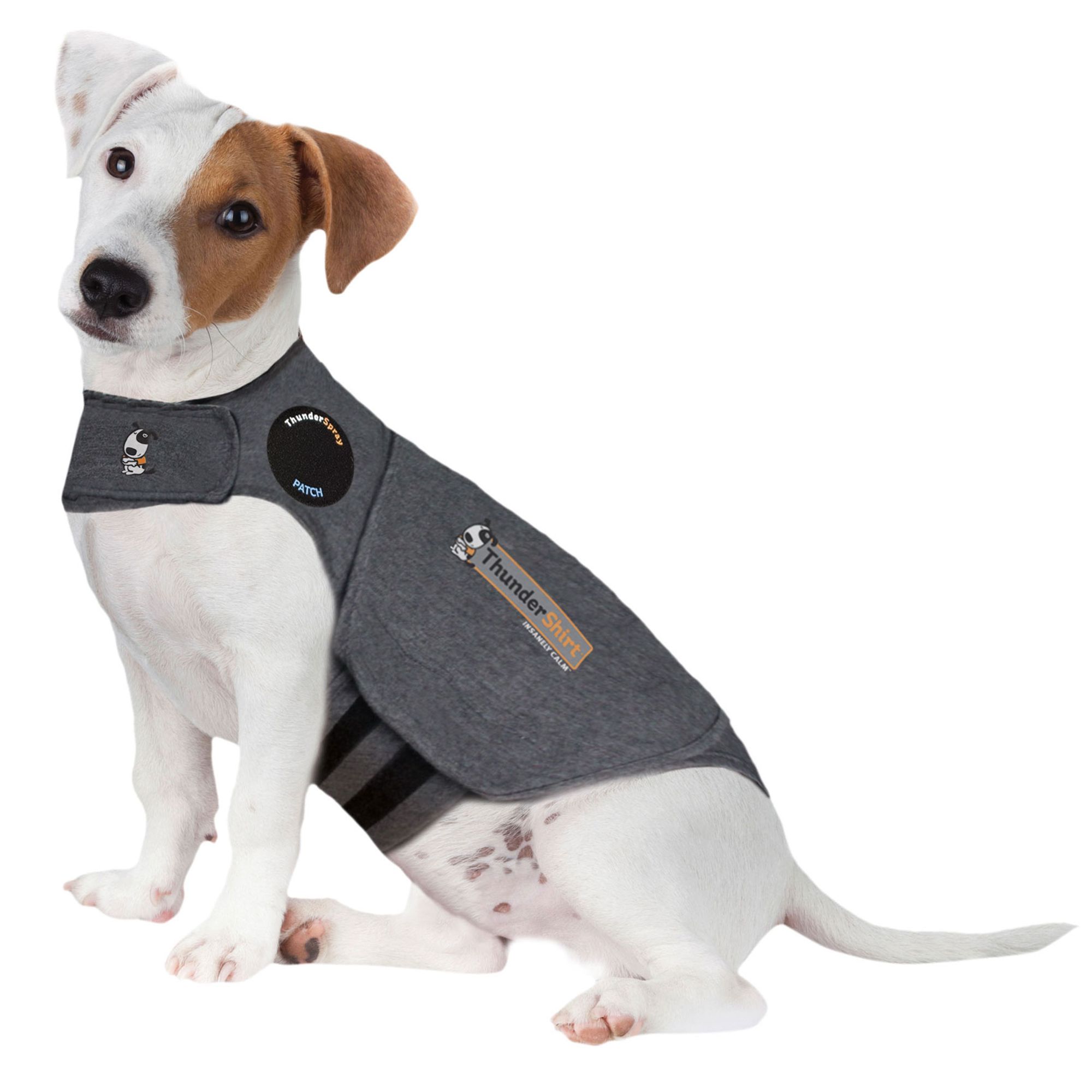 petsmart thunder shirts for dogs