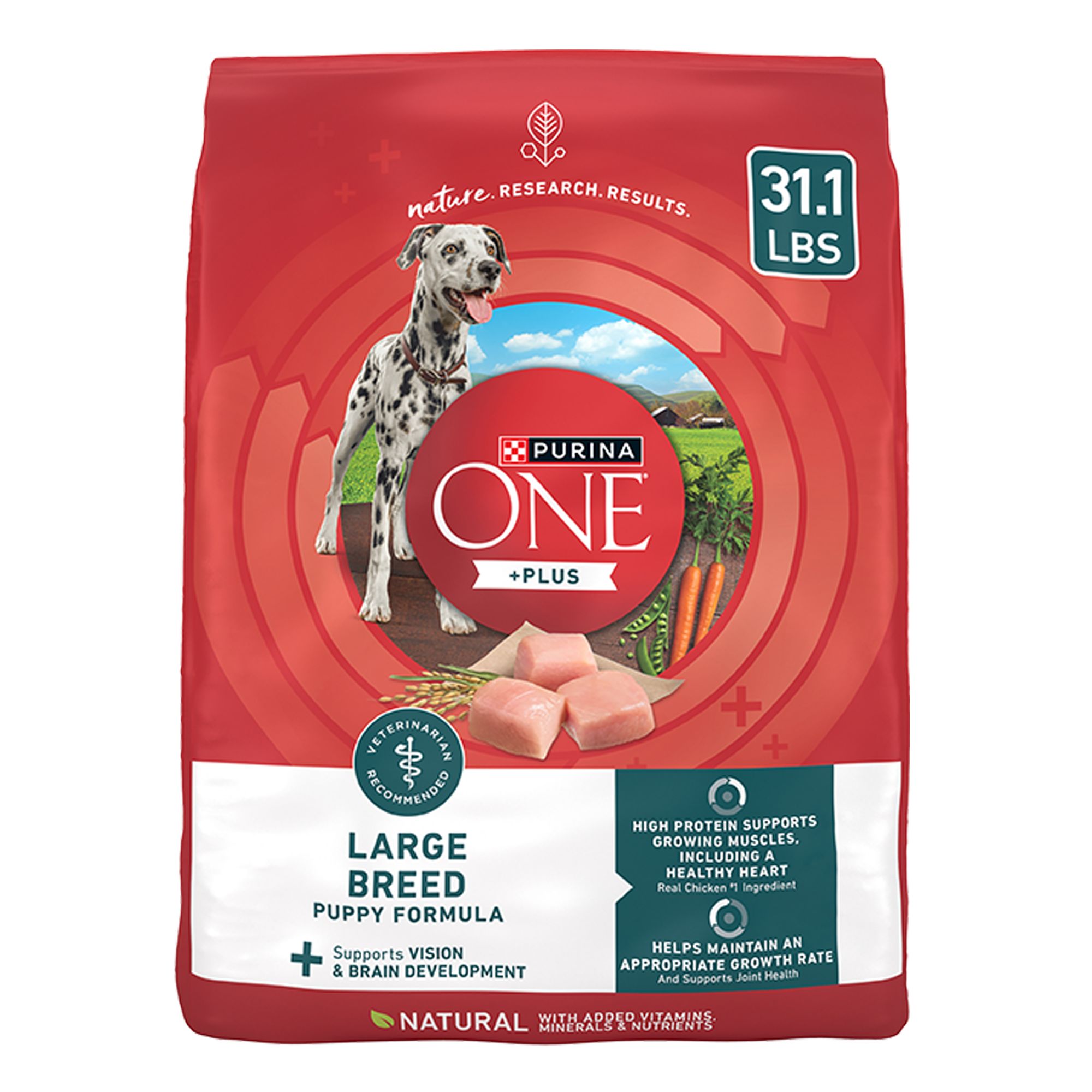 Purina ONE +Plus Large Breed Puppy Dog Dry Food - Chicken, High-Protein, Antioxidants, Size: 31.1 lb | PetSmart
