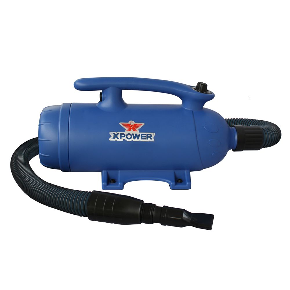 XPOWER B-27 Variable Speed Dual Motor 6 HP in Blue | PetSmart