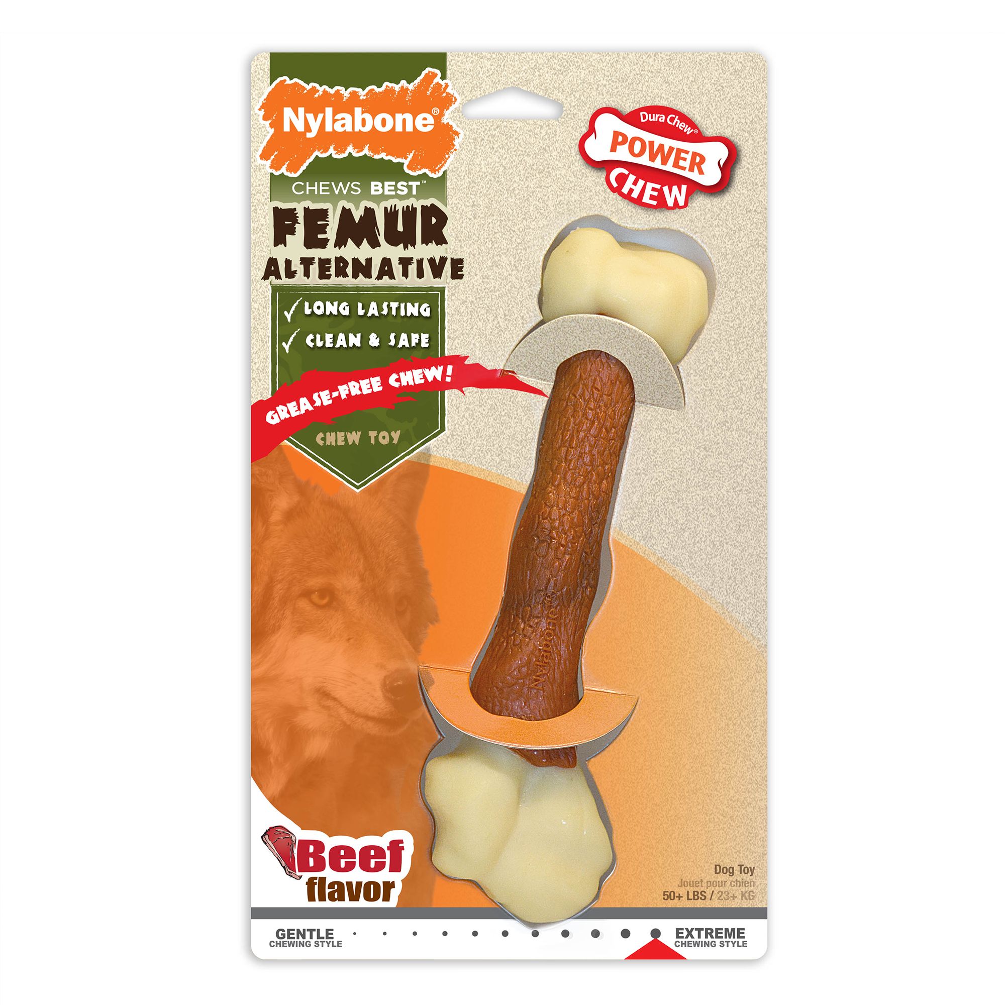 Nylabone Alternative Femur Chew Dog Toy - Beef Flavor | PetSmart