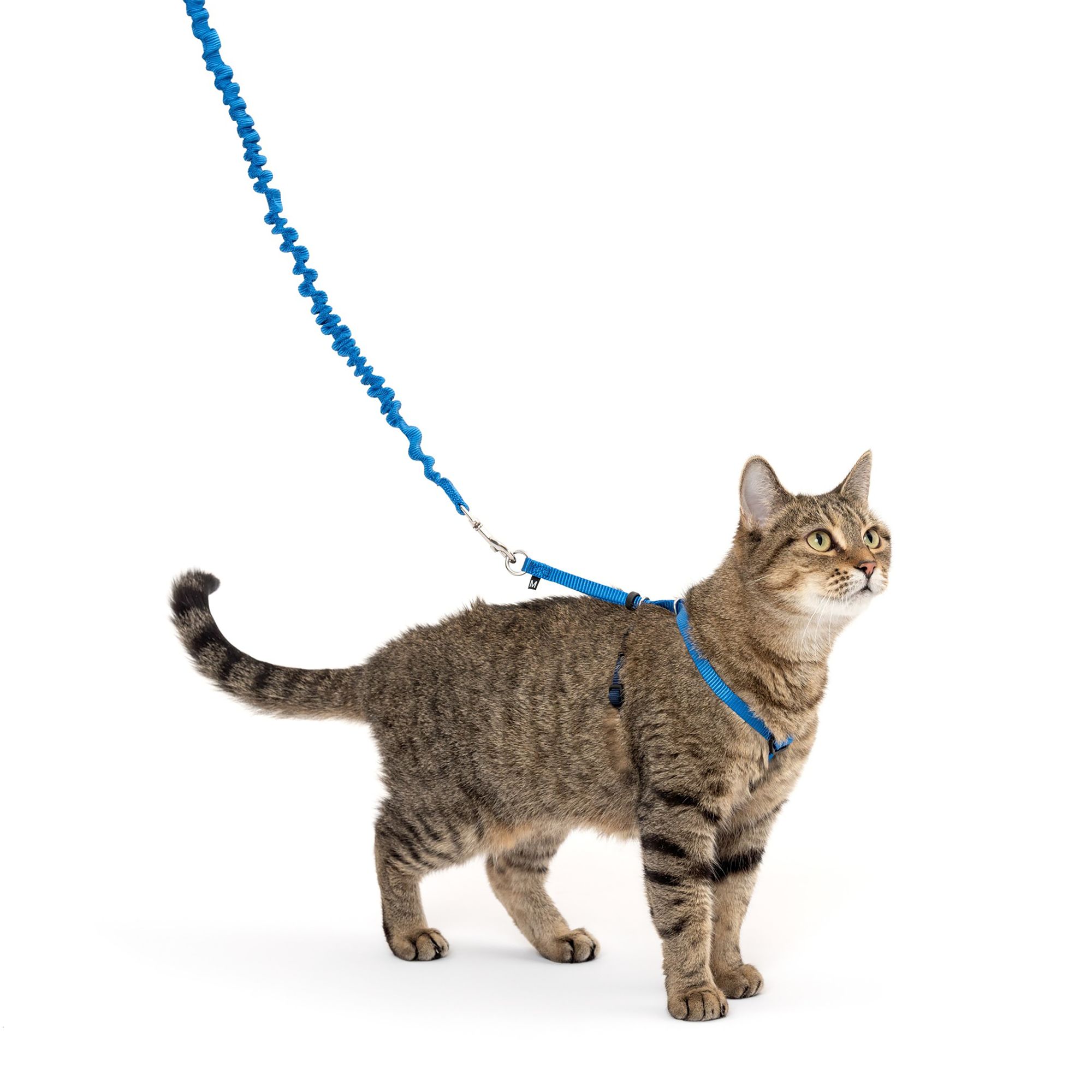PetSafe® Come With Me Kitty, Cat Harness, and Cat Bungee Leash, Multiple Sizes & Colors (Medium)