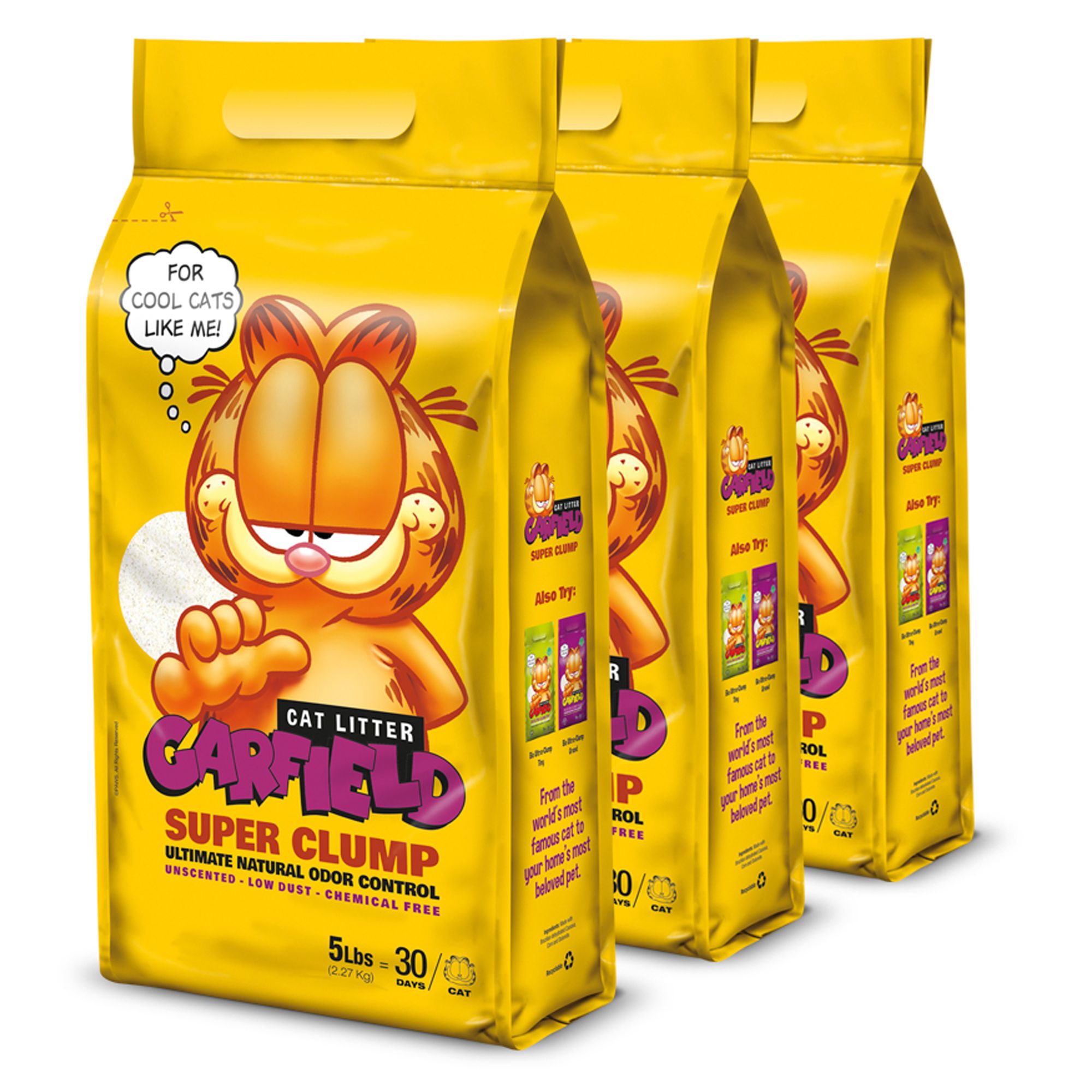 856277006128 UPC Garfield Cat Litter, Tiny Grains, Non Flushable, 15