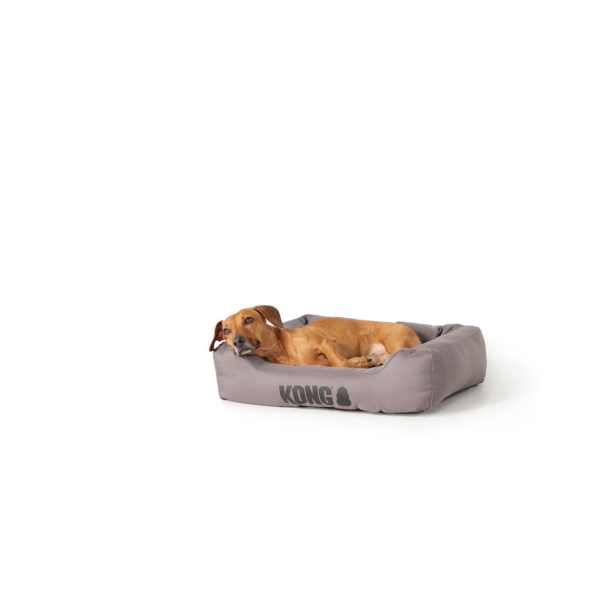 KONG® 4-Sided Cuddler Dog Bed (28"L x 22"W x 7"H)
