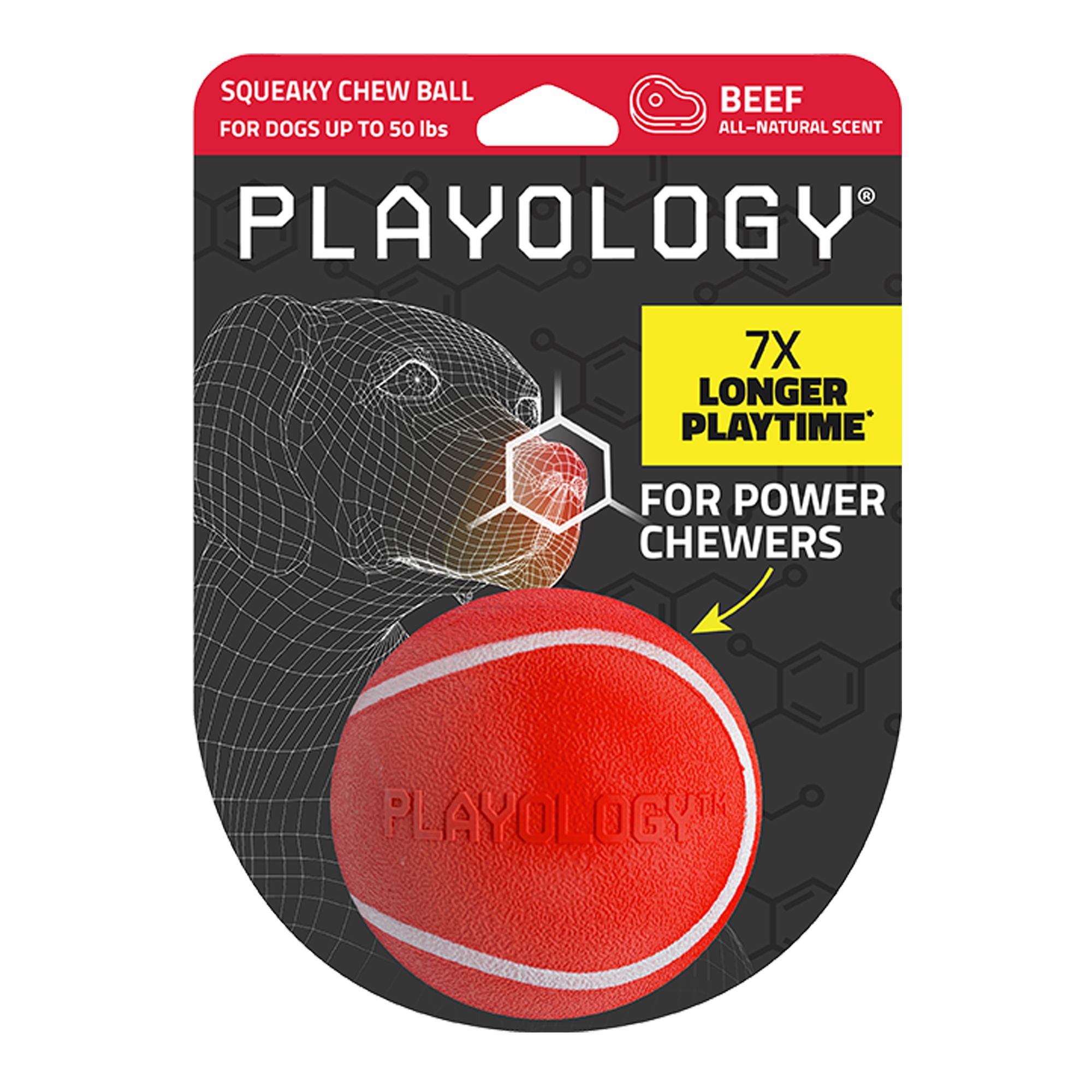 Playology Squeaky Scented Chew Ball Dog Toy - Beef in Sand, Size: Medium | PetSmart