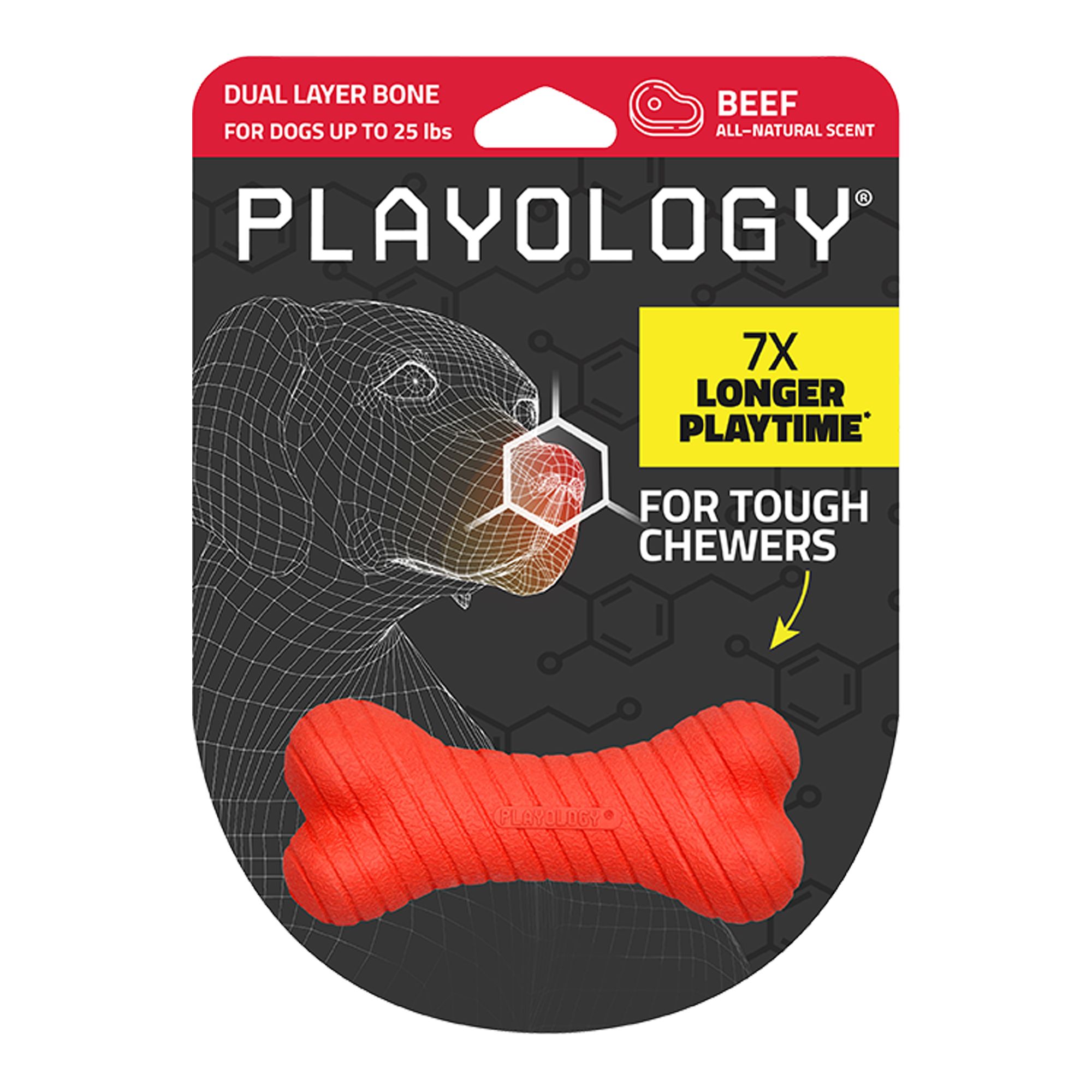 Playology Dual Layer Bone Scented Dog Toy - Beef in Sand, Size: Small | PetSmart