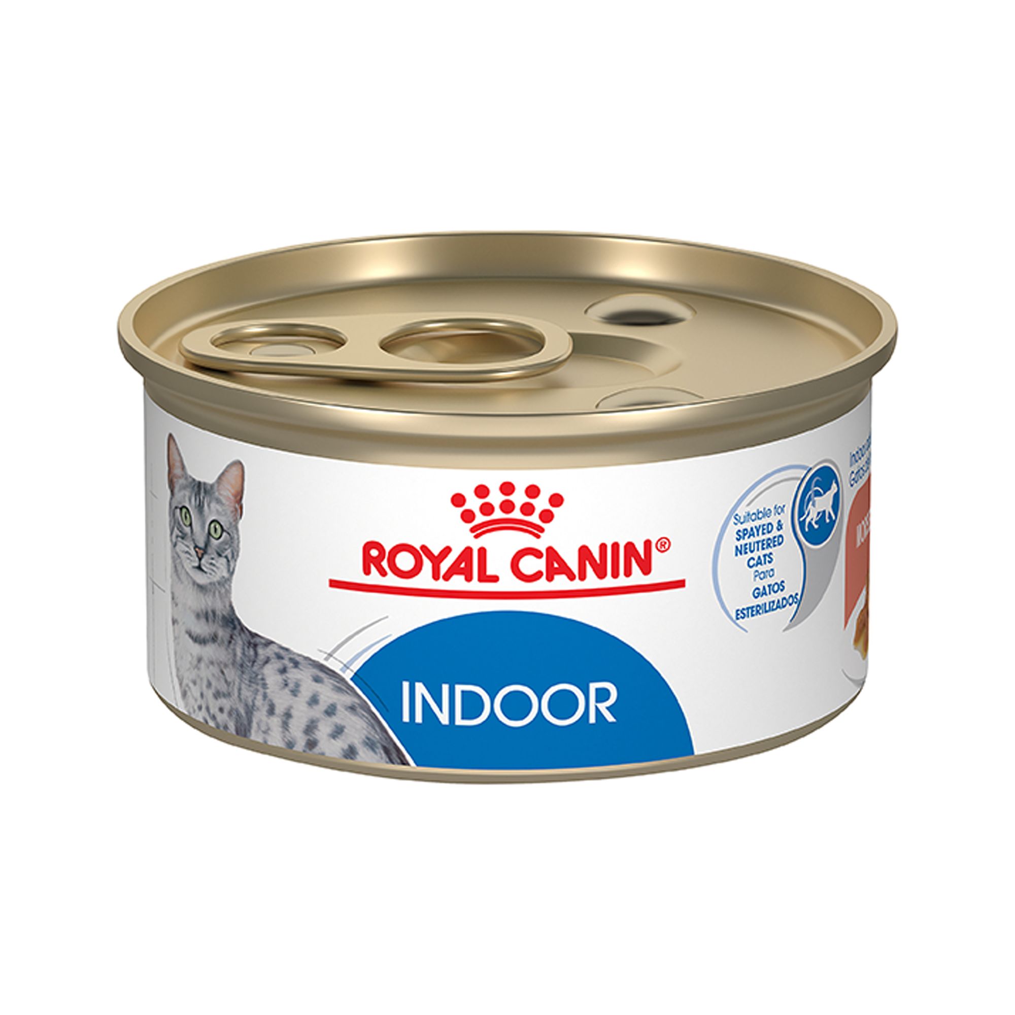 Royal Canin(R) Feline Health Nutrition Indoor Adult Wet Cat Food - 3 oz can | PetSmart