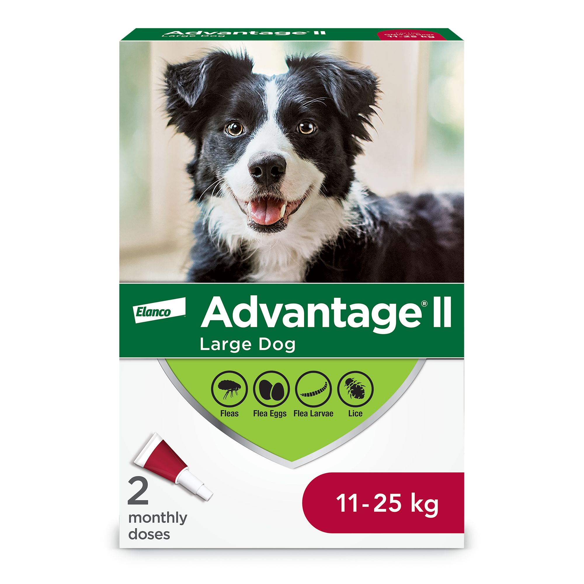 Advantage® II Flea Prevention for Large Dogs 11 to 25 kg, Monthly Vet-Recommended Treatment