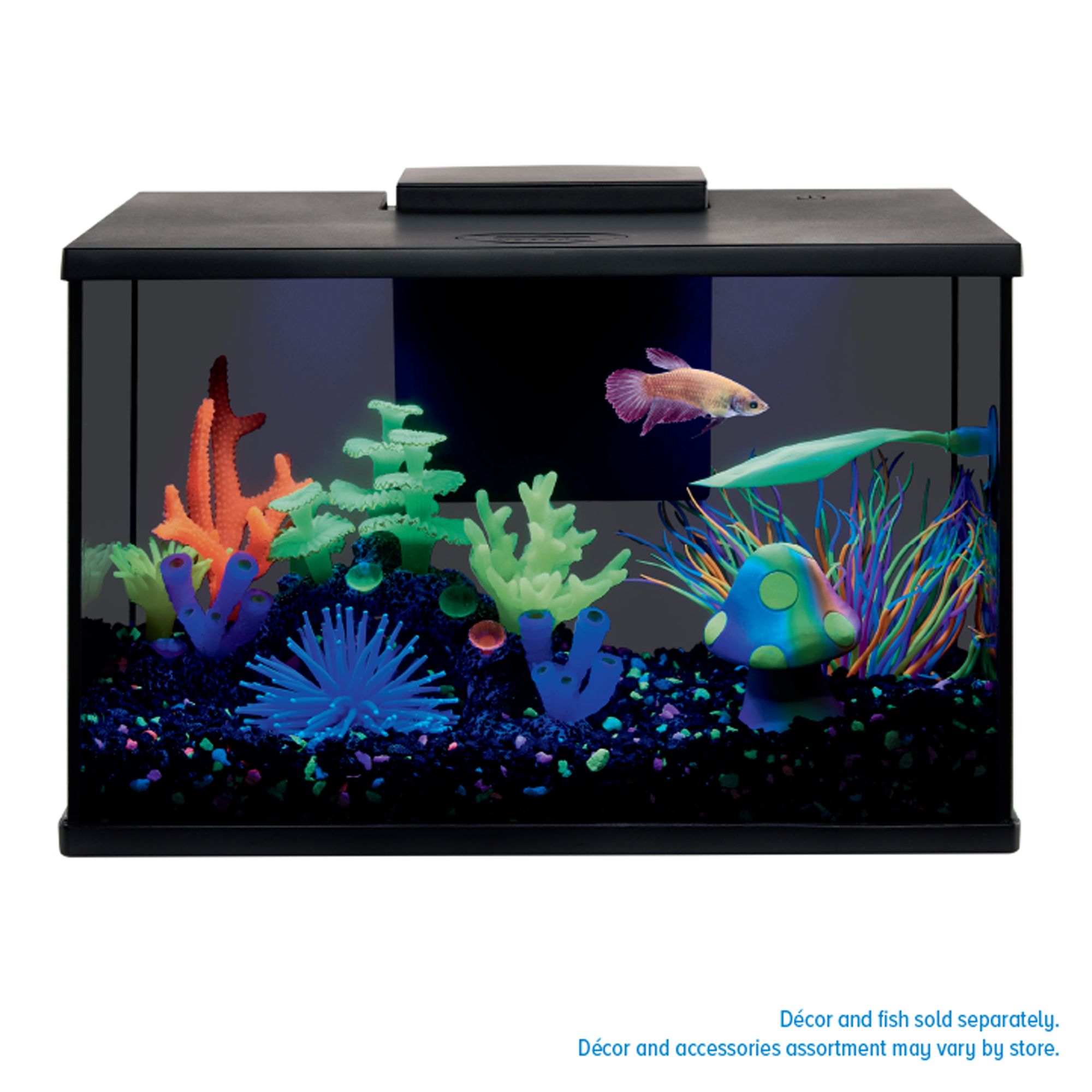 Top Fin® LED Black Glass Aquarium - Fish Tank Aquarium - 3-10 Gallon (3 Gal)