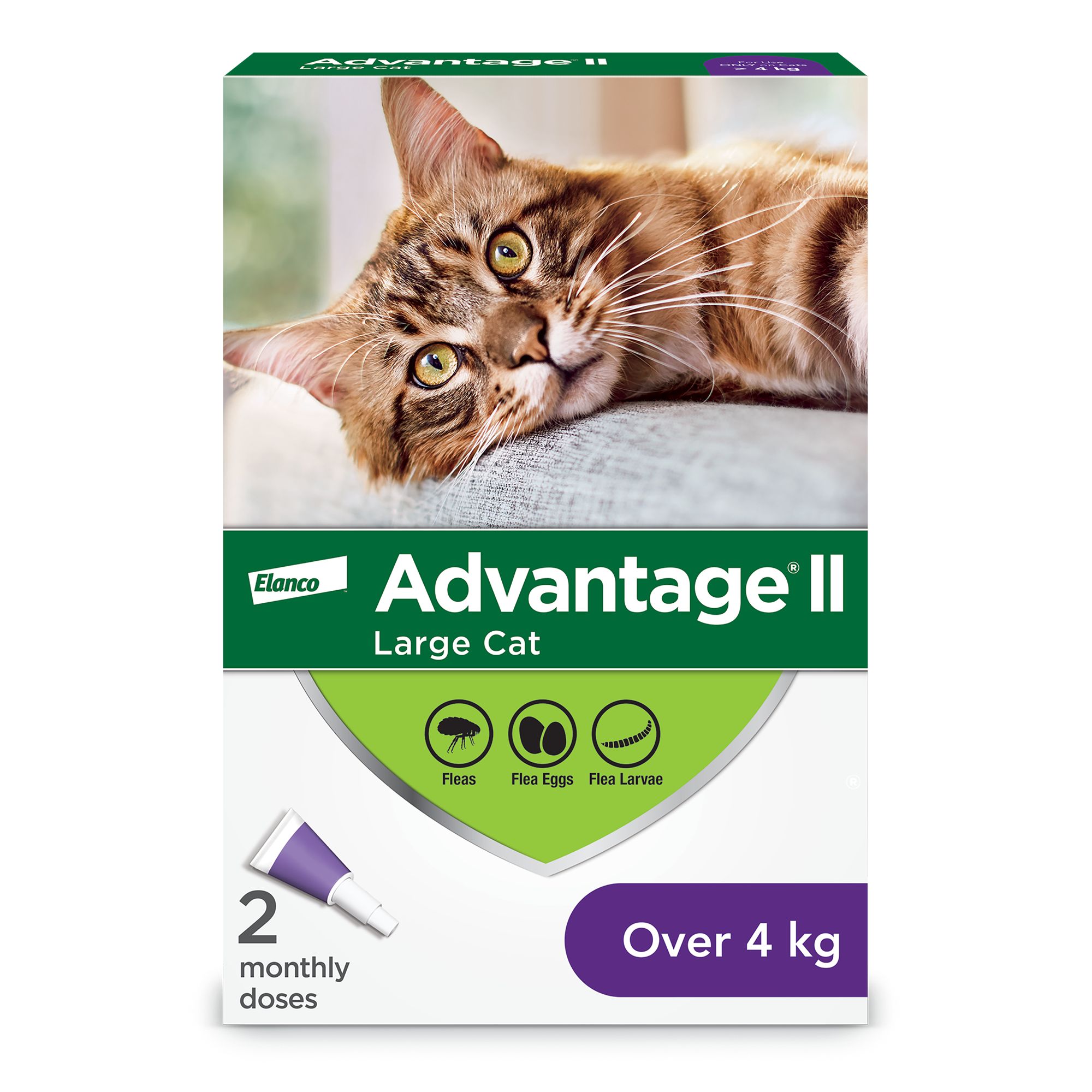 Advantage® II Large Cat Once-A-Month Topical Flea Treatment - Over 4 kg (2 Count)