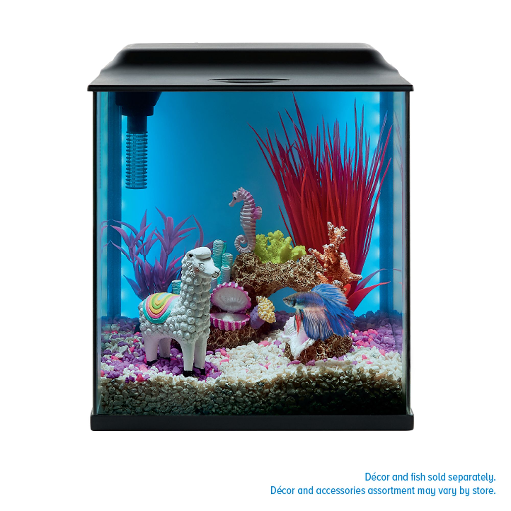 Top Fin® Backlight Aquarium - Fish Tank Aquarium - 3-5 Gallon (3 Gal)