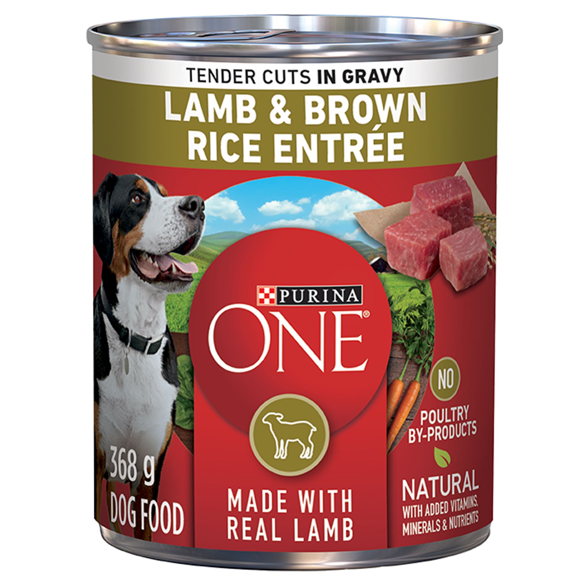 Purina ONE Wet Dog Food Tender Cuts in Gravy - Lamb & Brown Rice Entrée, 368g (368 g)