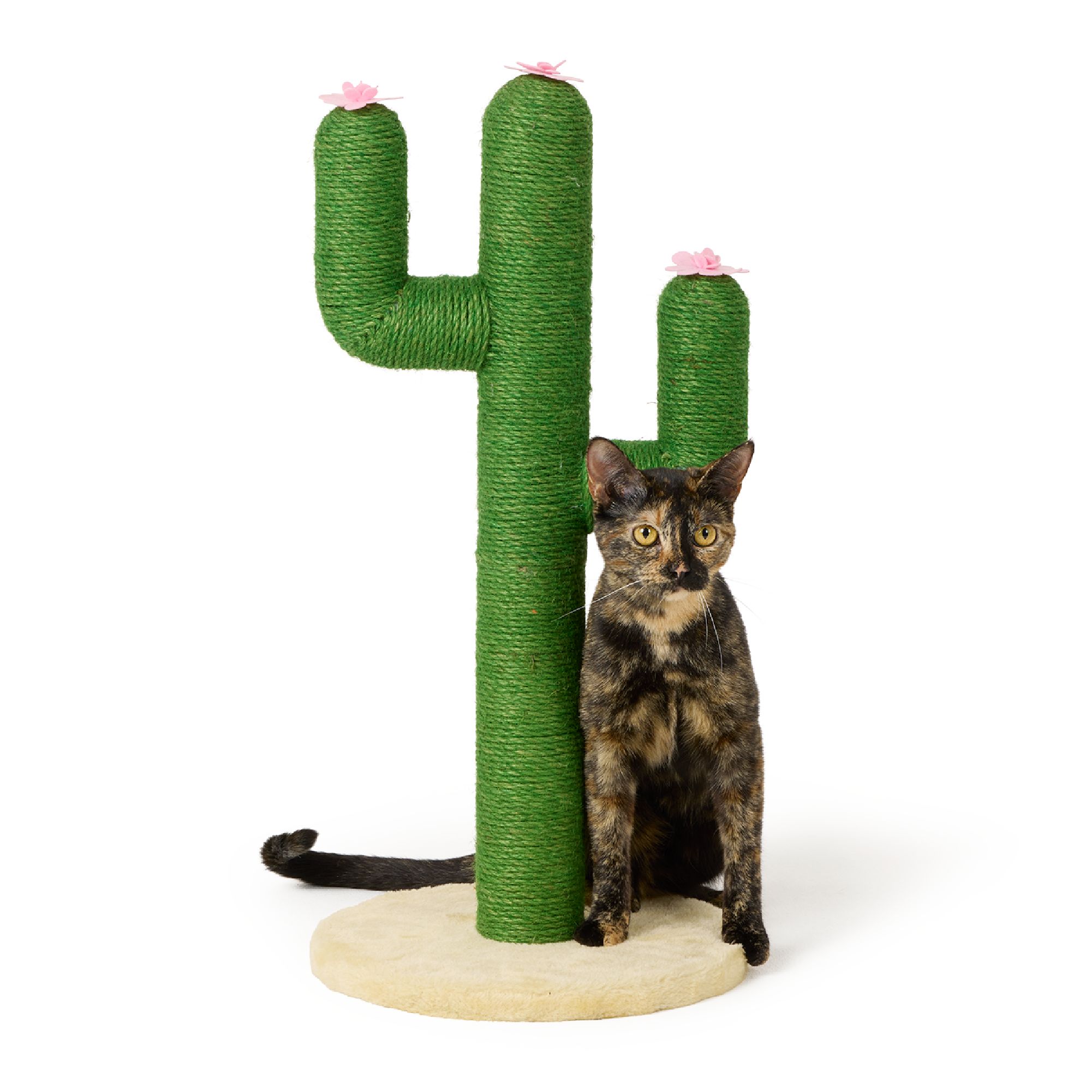 Whisker City® 26-in Green Cactus Sisal Cat Scratching Post