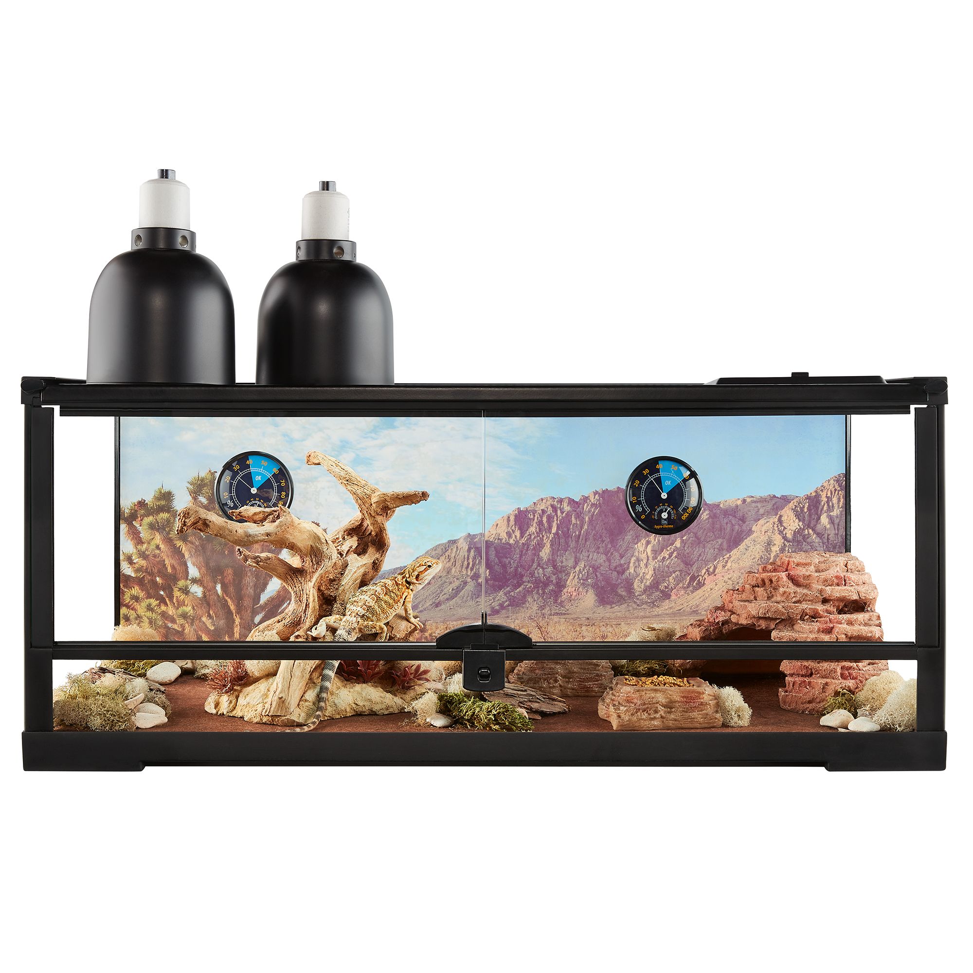 Thrive Open Front Desert Reptile Terrarium Essentials Kit - 20 Gallon (30"L x 12"W x 12"H)