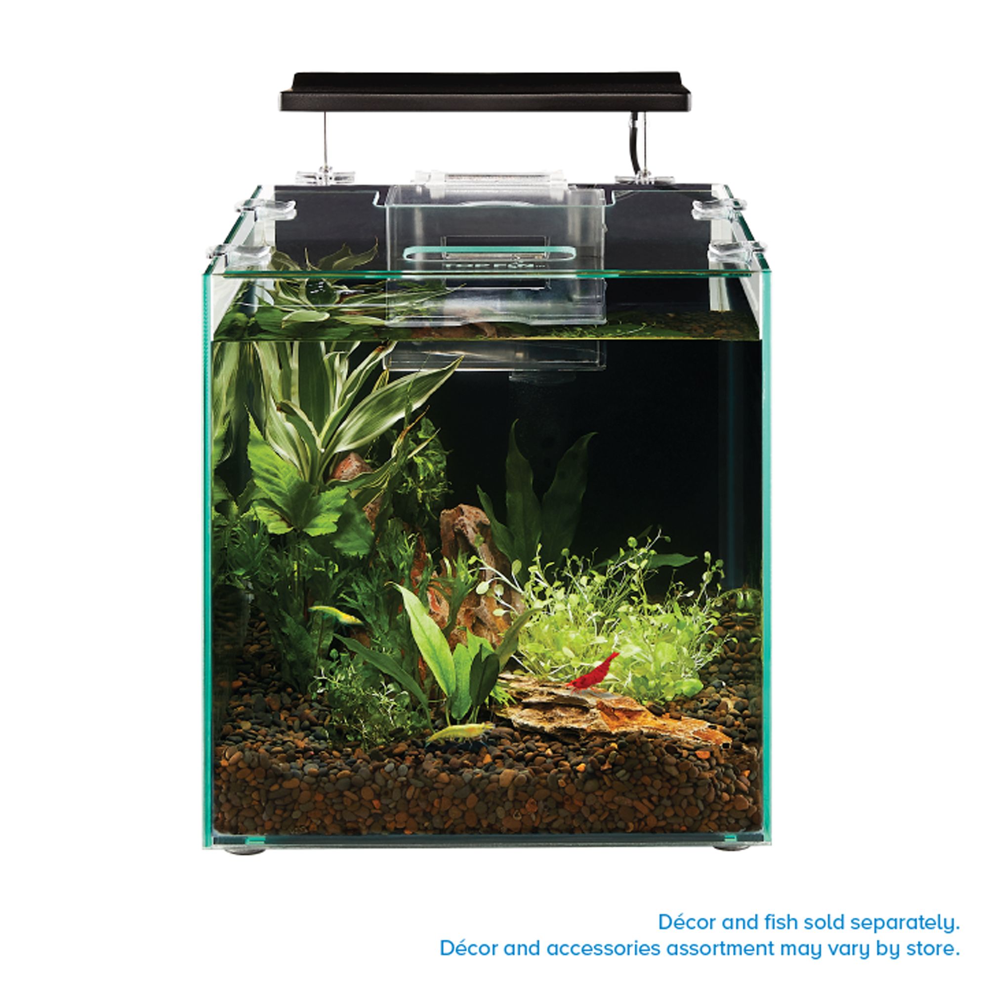 Top Fin® Shrimp & Plant Oasis Tank Aquarium - Shrimp & Plant Fish Tank - 3 Gallon (3 Gal)