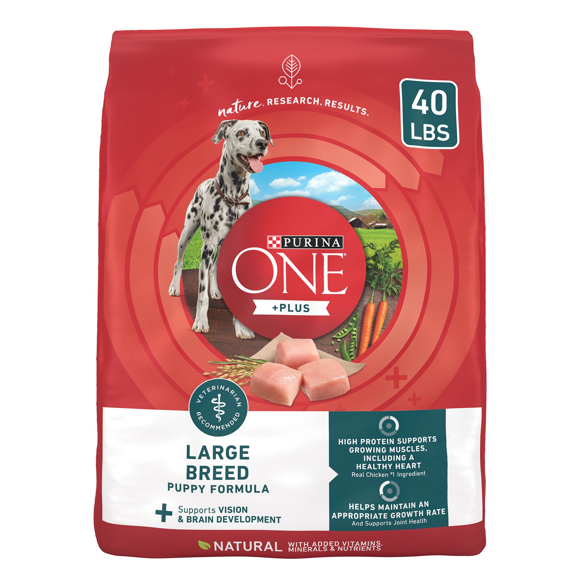 Purina ONE +Plus Large Breed Puppy Dog Dry Food - Chicken, High-Protein, Antioxidants, Size: 40 lb | PetSmart
