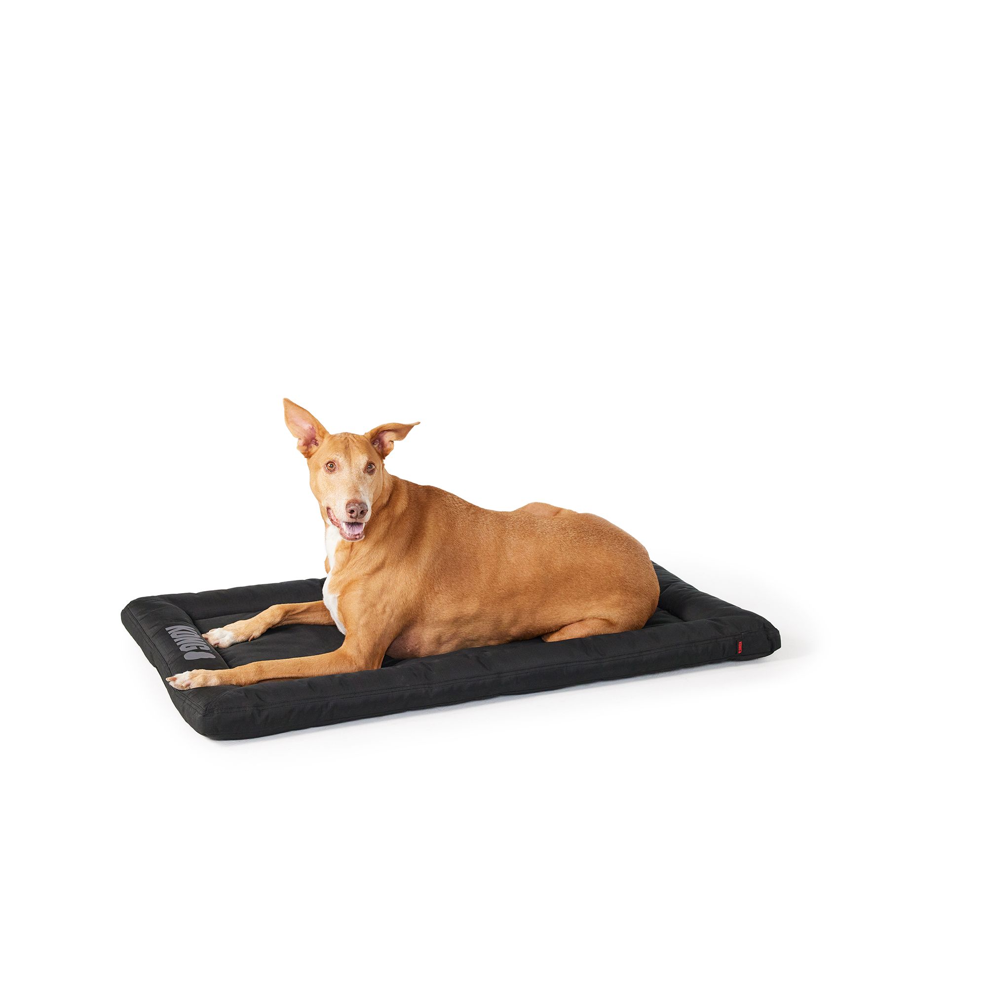 KONG® Durable Crate Dog Mat Black & Olive 23 inch/Small - 48 inch/X-Large (48in-Xlarge)