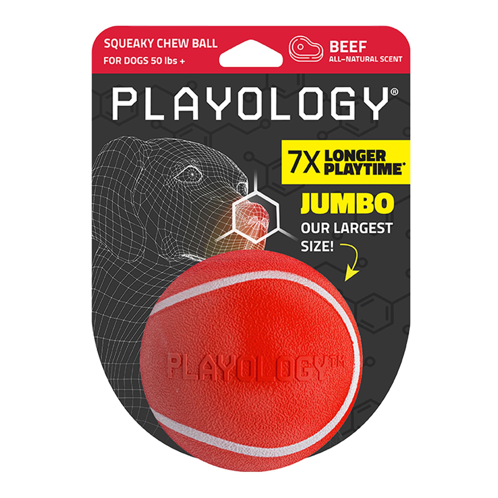 Playology Squeaky Chew Ball Dog Toy - Beef in Sand, Size: XL | PetSmart