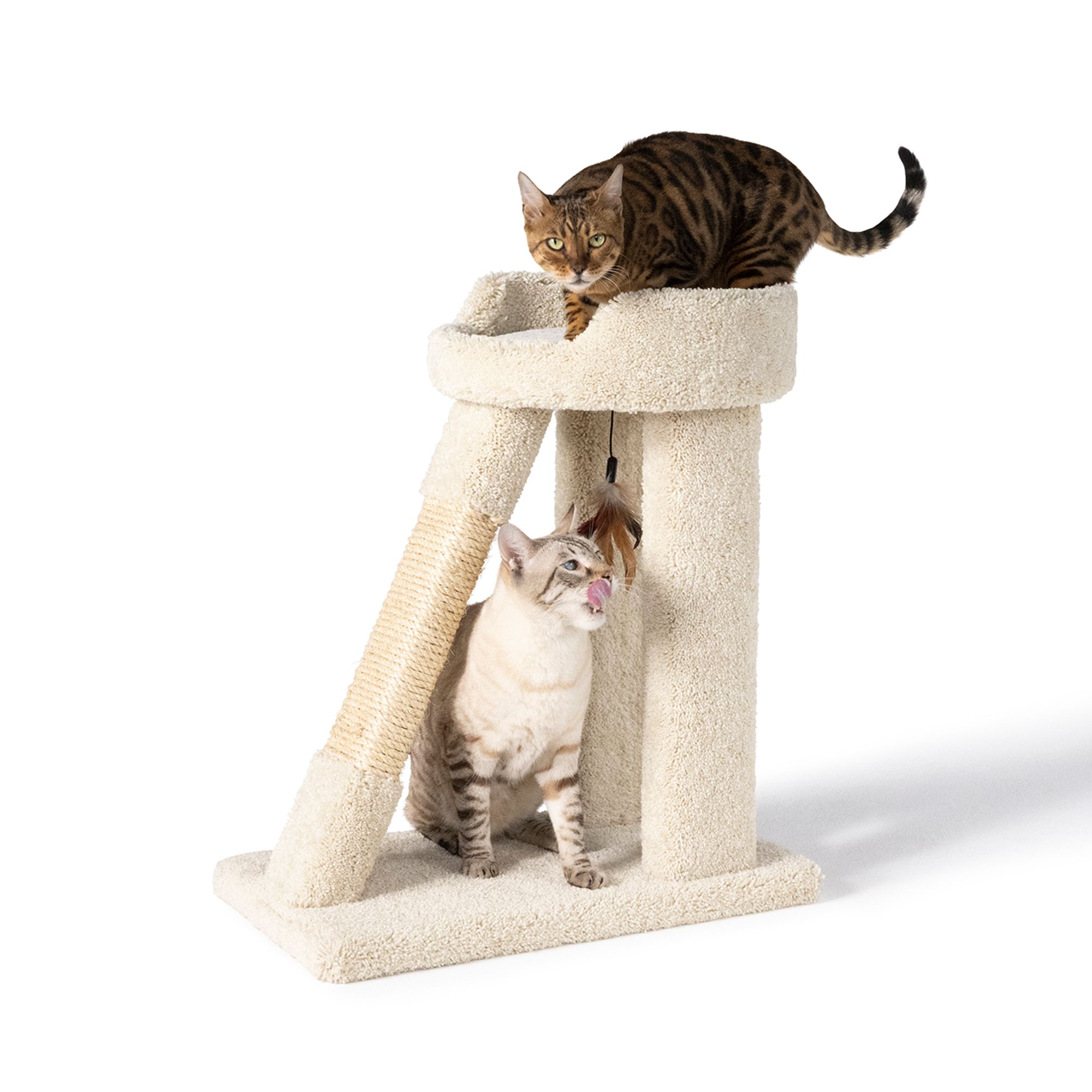 Whisker City® 26-in Short Carpet Cat Tower with Ramp and Rope Scratching Post