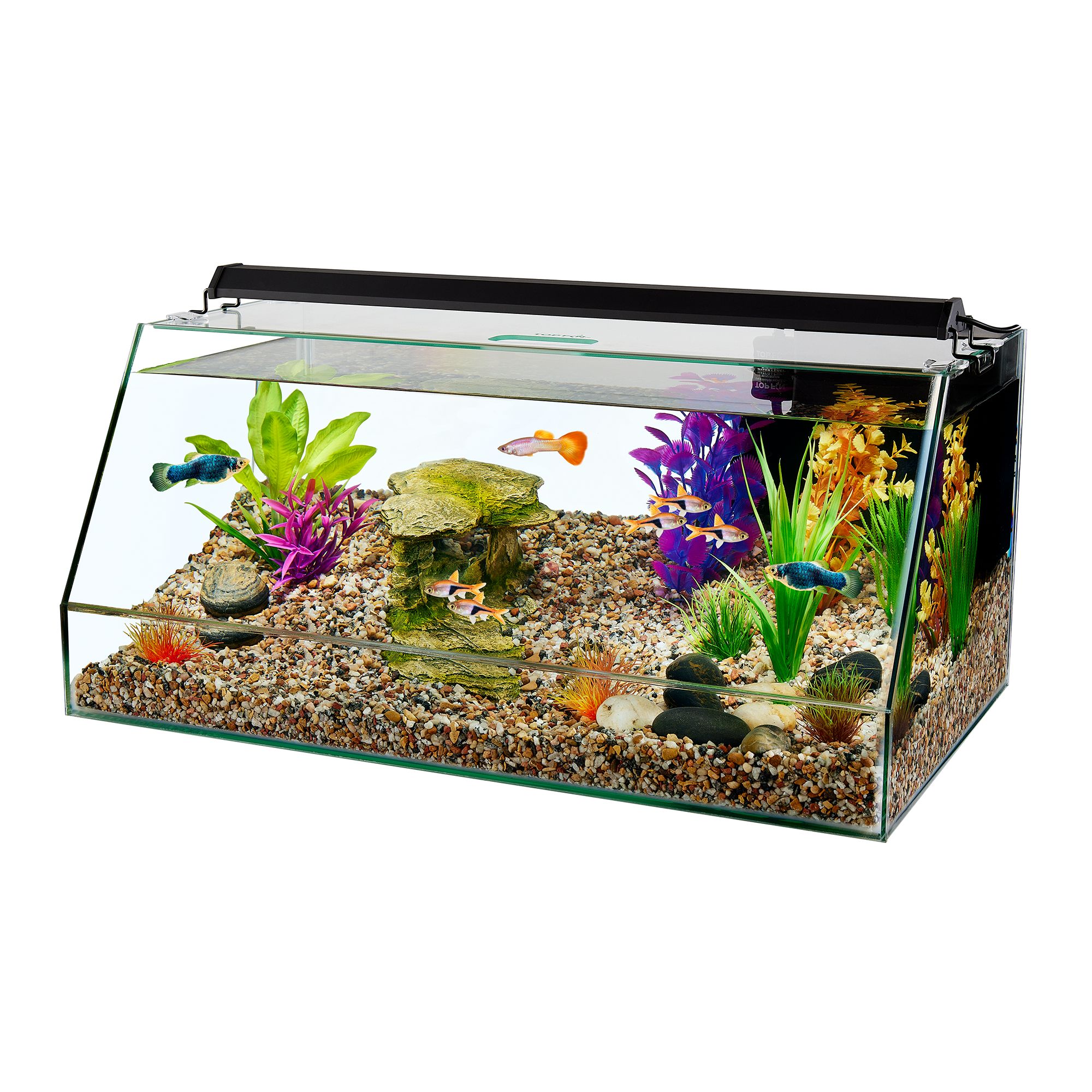 Top Fin® Angled Aquarium -10 Gallon (10 Gal)
