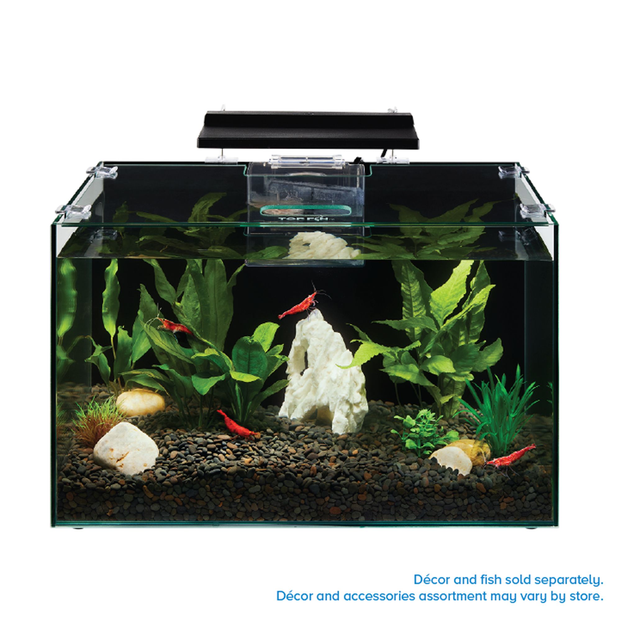 Top Fin® Shrimp & Plant Aquarium - Shrimp & Plant Fish Tank - 5 Gallon (5 Gal)