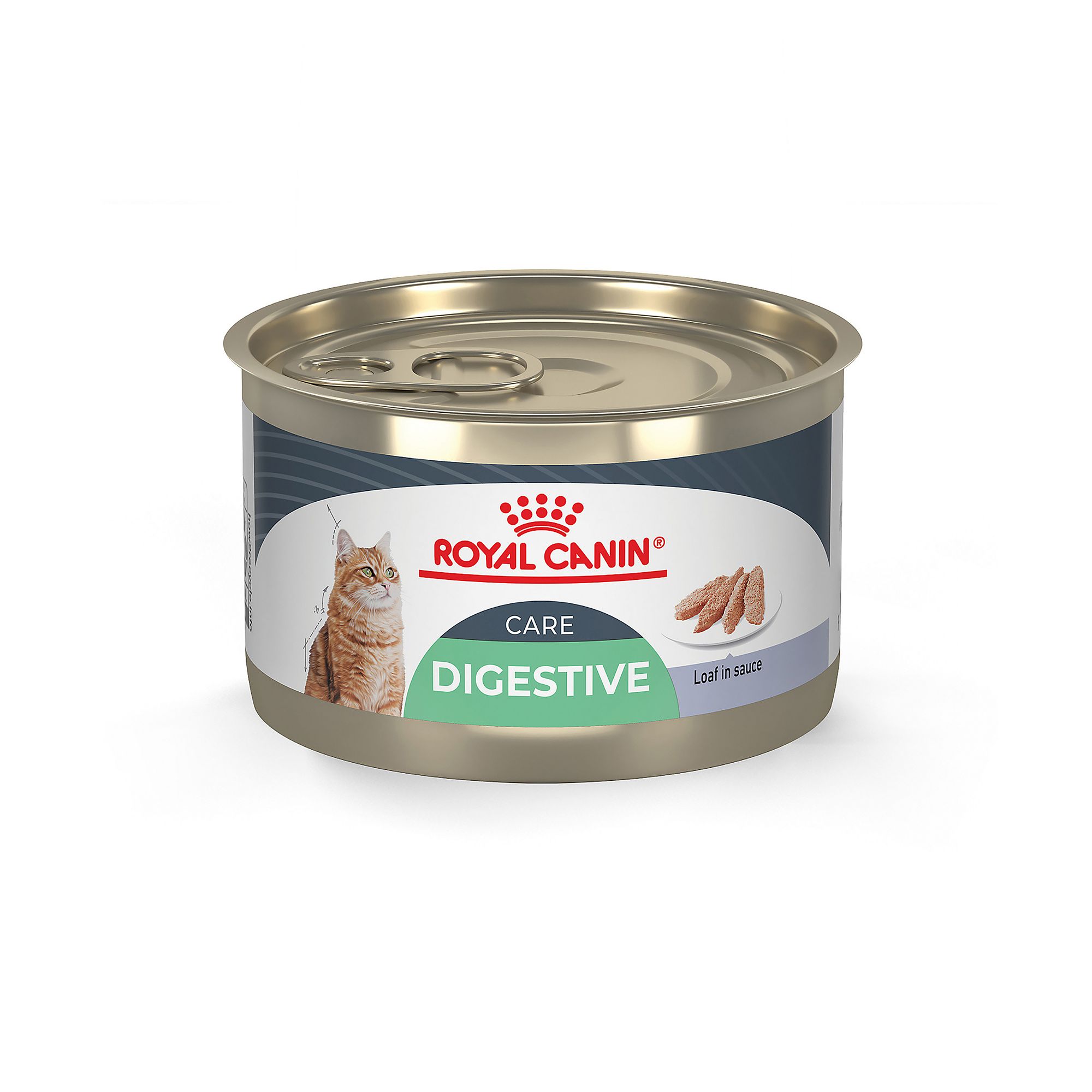 Royal Canin Digest Sensitive Care 5.1 OZ, Adult | PetSmart