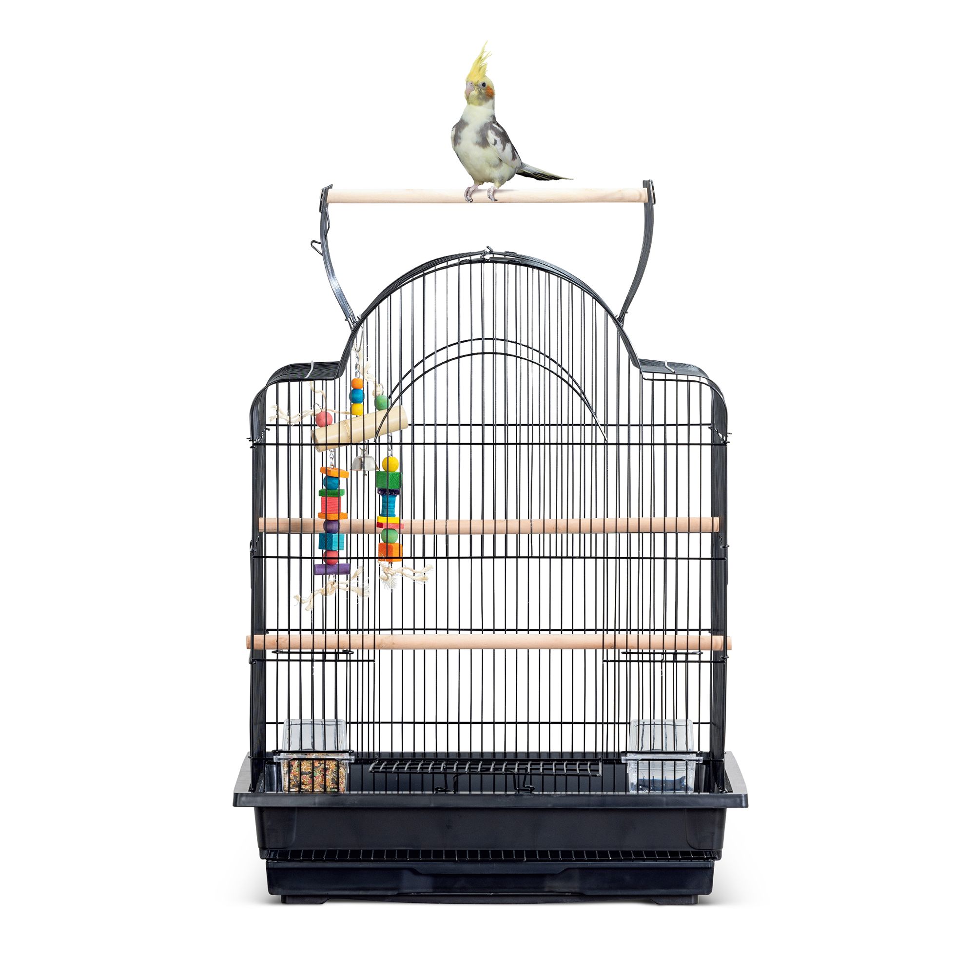 All Living Things® Open-Air Pet Bird Cage with Top Perch for Medium Birds (25.2"L x 21.1"W x 31.9"H)