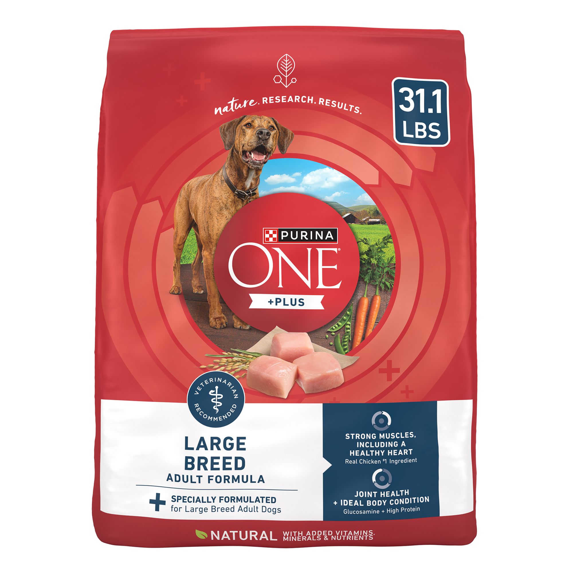 Purina ONE Plus Natural Large Breed Adult Dry Dog Food 31.1 lb | PetSmart