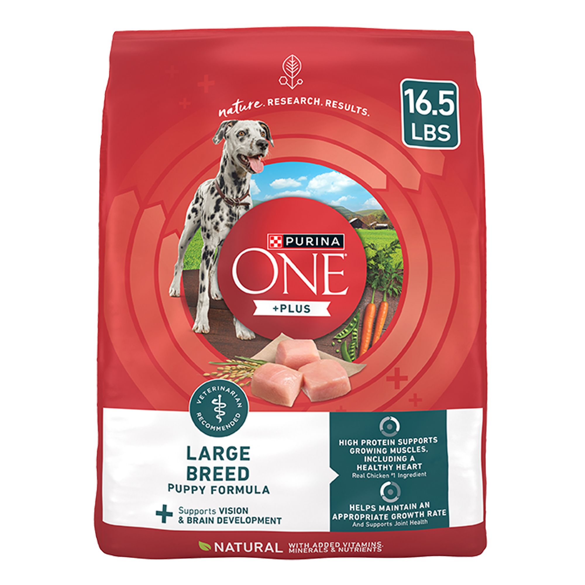 Purina ONE Plus Natural Real Chicken Large Breed Puppy Dry Dog Food 16.5 lbs | PetSmart