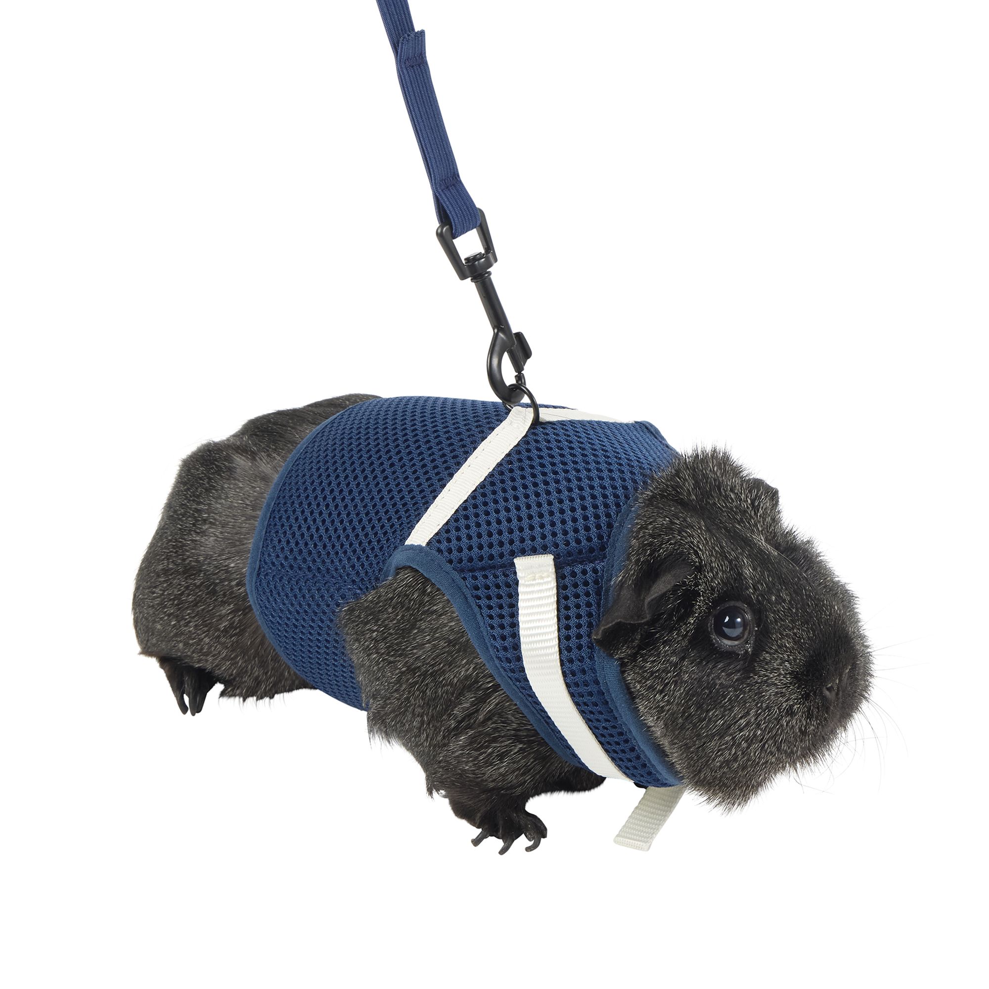 Full Cheeks&trade; Small Pet Harness (Large)