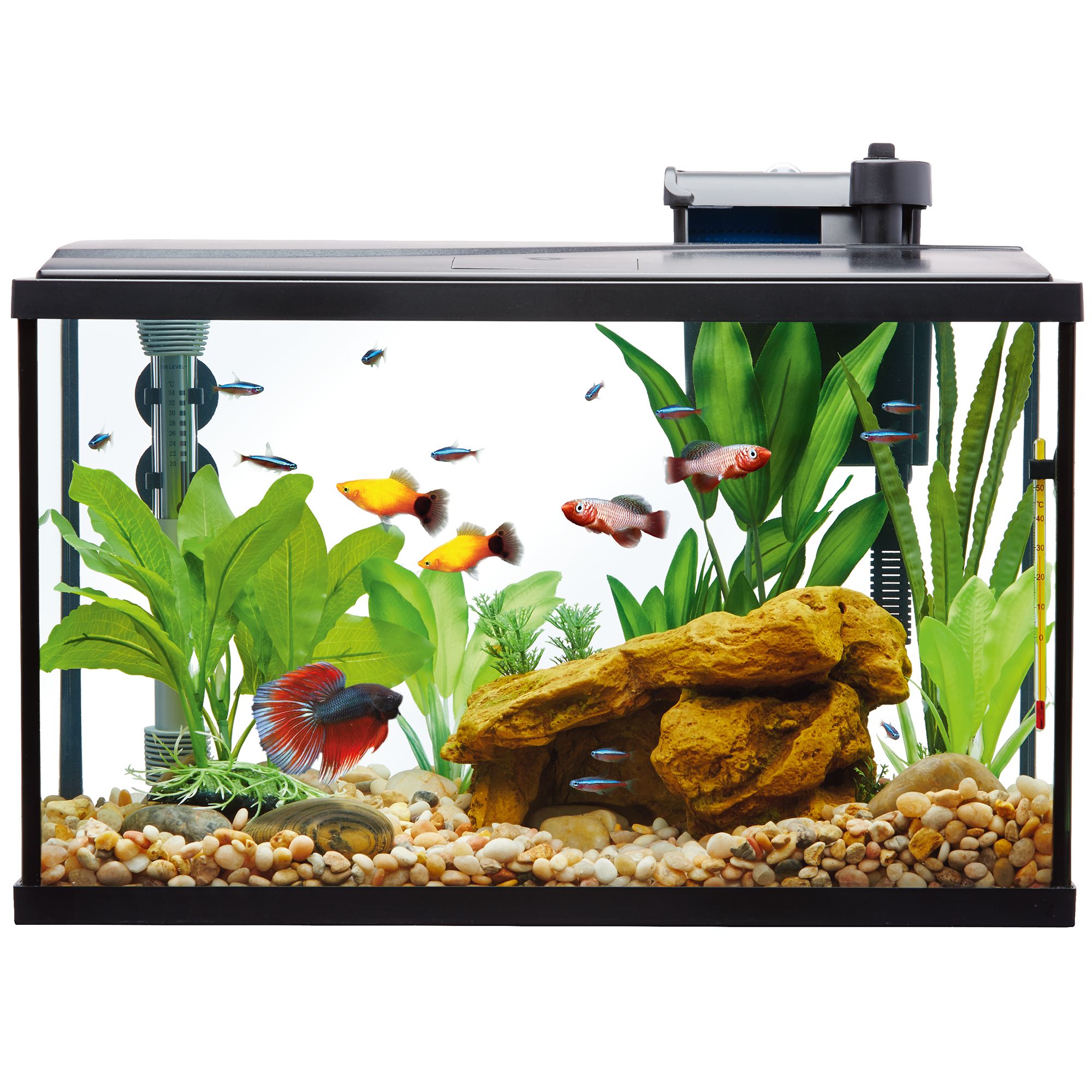 Top Fin® Essentials Aquarium Starter Kit - Fish Tank Starter Kit - 5-55 Gallon (10 Gal)