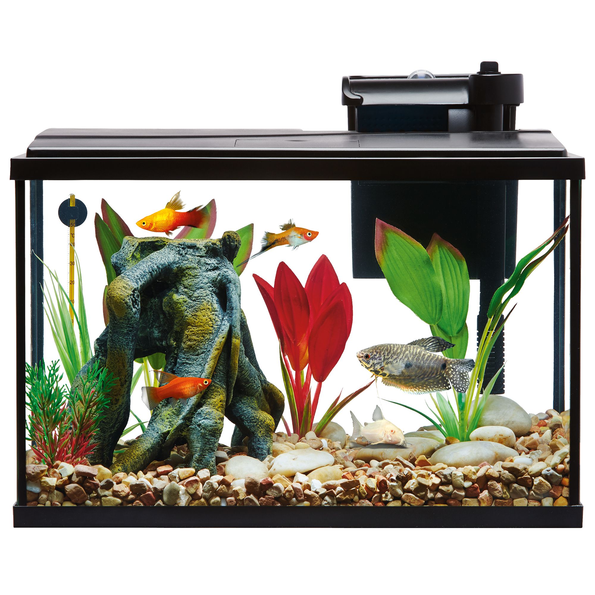 Top Fin® Essentials Aquarium Starter Kit - Fish Tank Starter Kit - 5-55 Gallon (5 Gal)