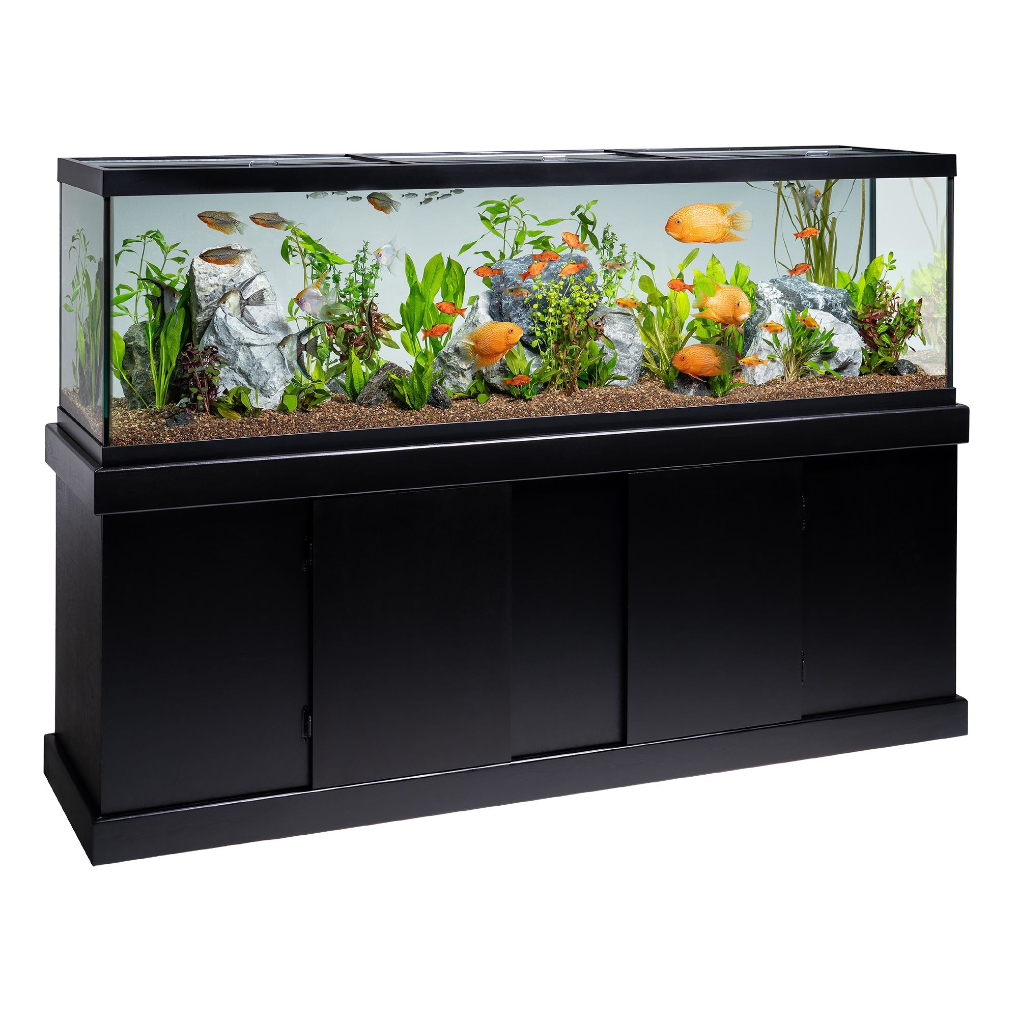 Marineland® High-Definition LED Aquarim & Stand Ensemble - 125 Gallon (125 Gal)
