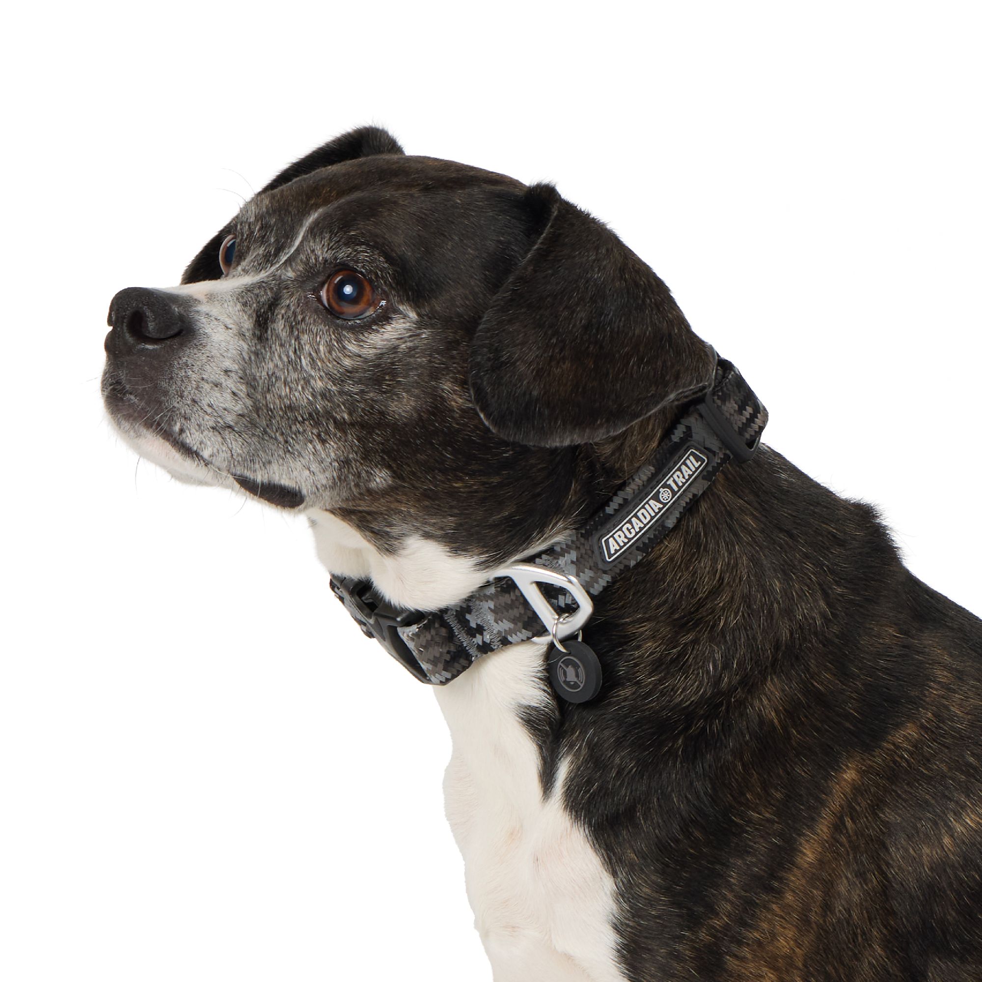 Arcadia Trail® Adjustable, Reflective, Durable, Rope Dog Collar (Large)