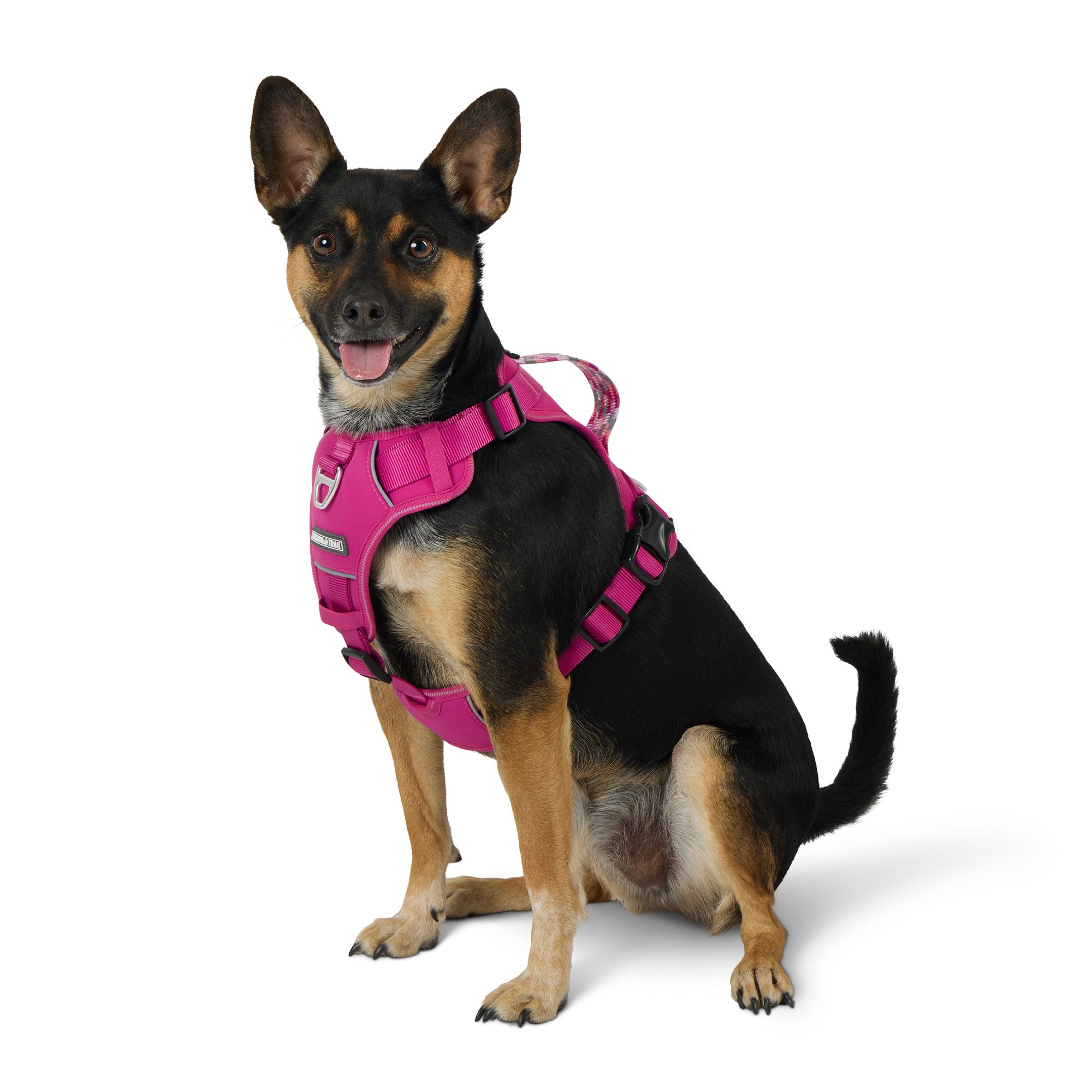 Arcadia Trail® Adjustable, Reflective Thread, Quick Dry Dog Harness (Medium)
