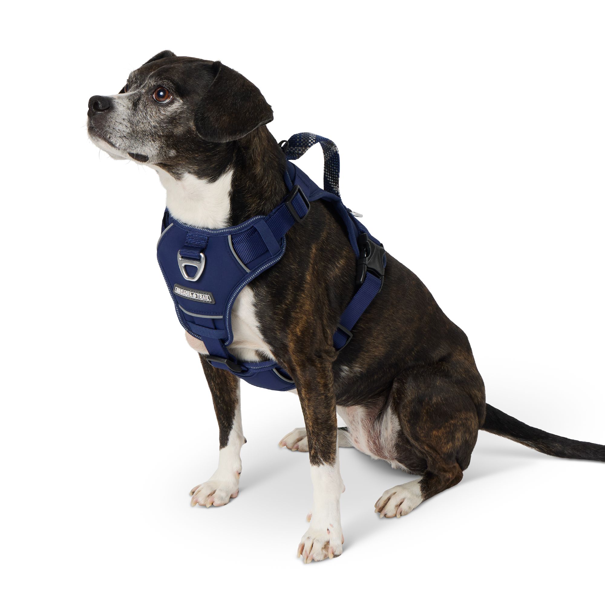 Arcadia Trail® Adjustable, Reflective Thread, Quick Dry Dog Harness (X Large)