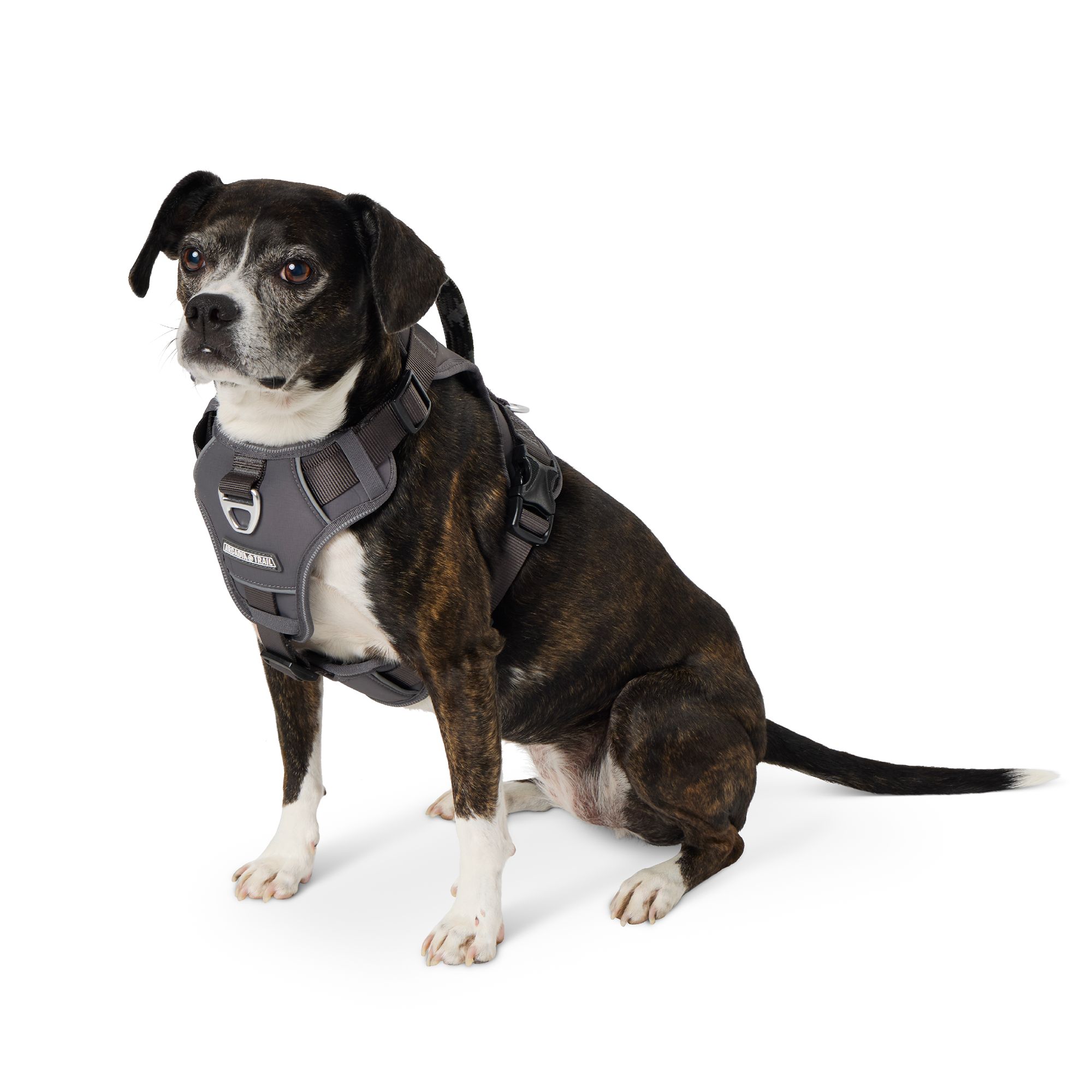 Arcadia Trail® Adjustable, Reflective Thread, Quick Dry Dog Harness (X Large)
