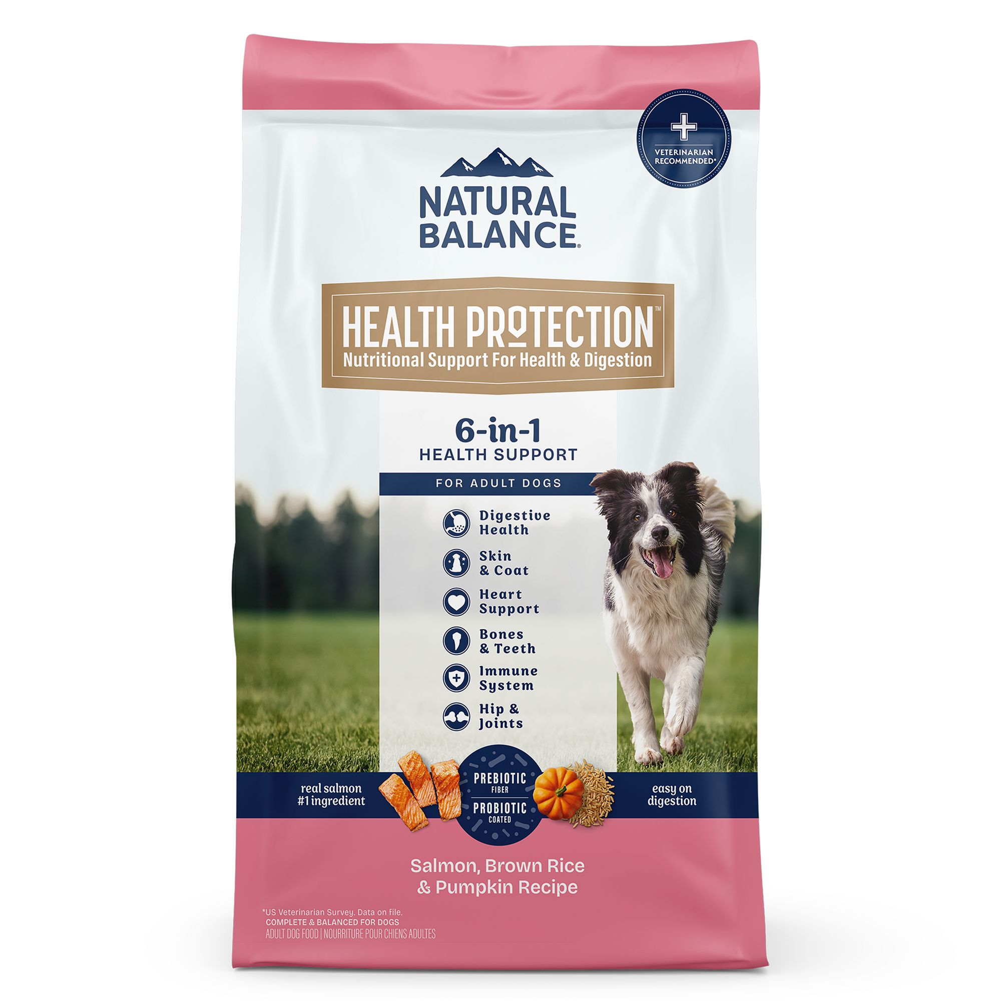 Natural Balance Health Protection Adult Dog Dry Food - Salmon, Brown Rice and Pumpkin, Size: 4 lb | PetSmart