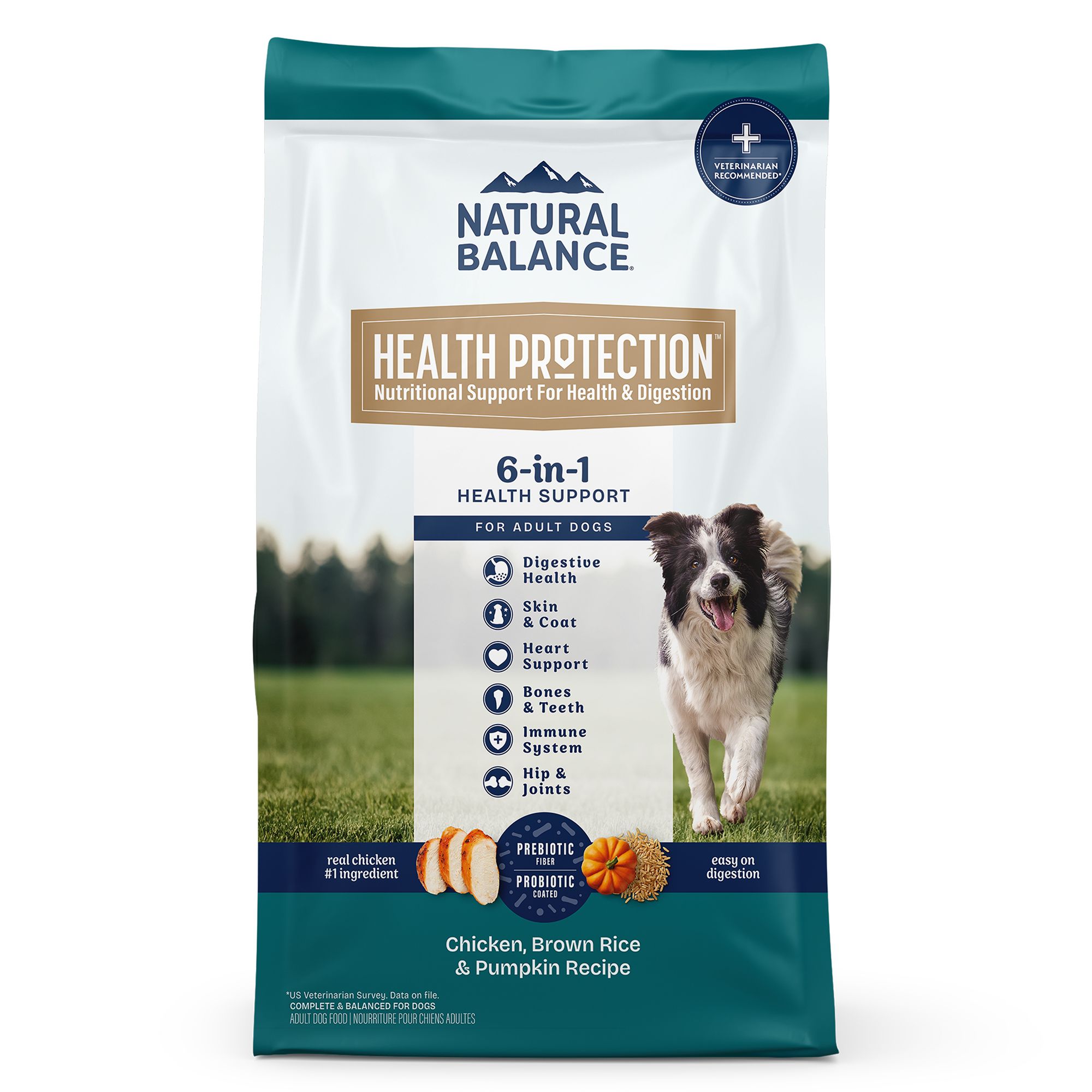 Natural Balance Health Protection Adult Dry Dog Food - Chicken, Brown Rice and Pumpkin, Size: 4 lb | PetSmart