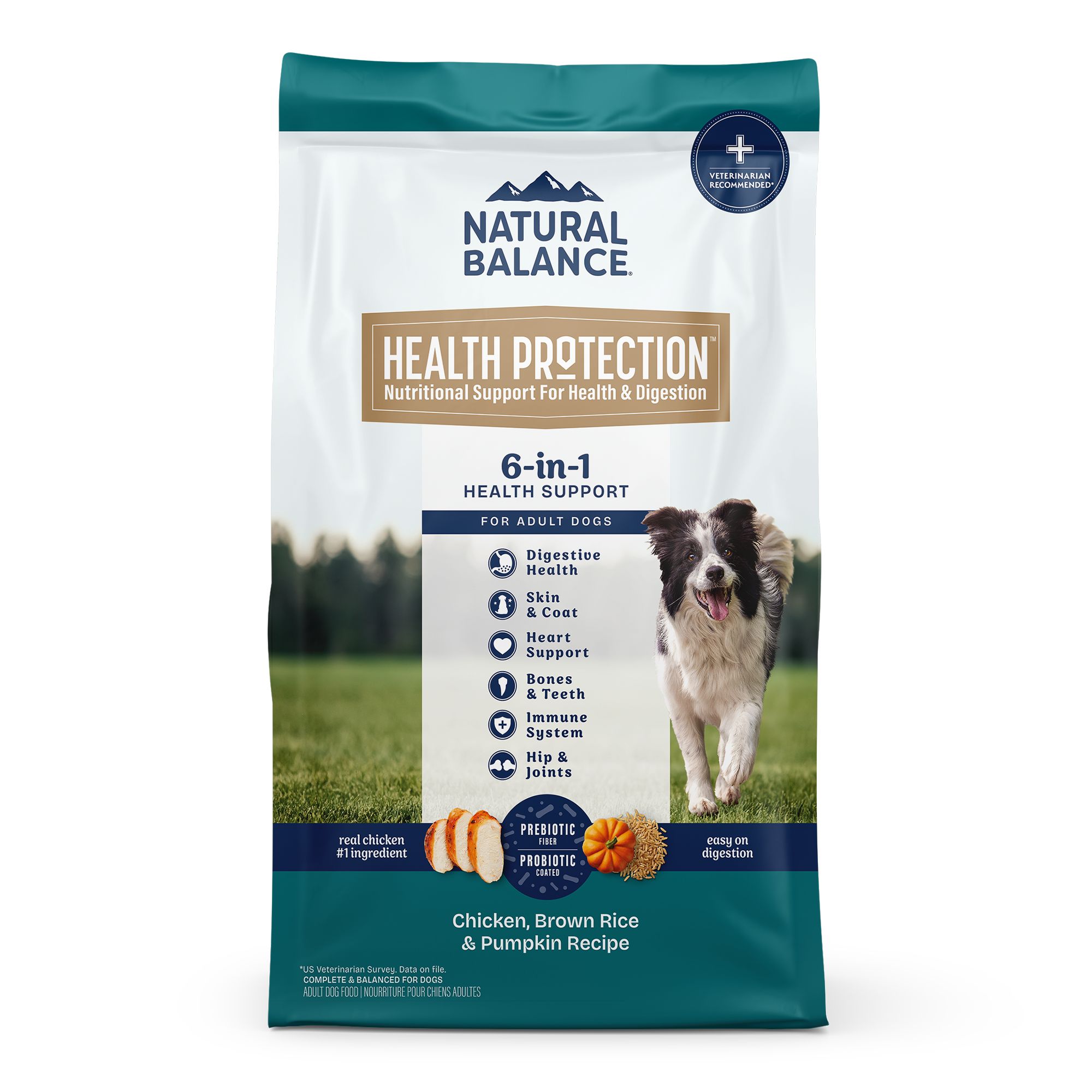 Natural Balance Health Protection Adult Dry Dog Food - Chicken, Brown Rice and Pumpkin, Size: 24 lb | PetSmart