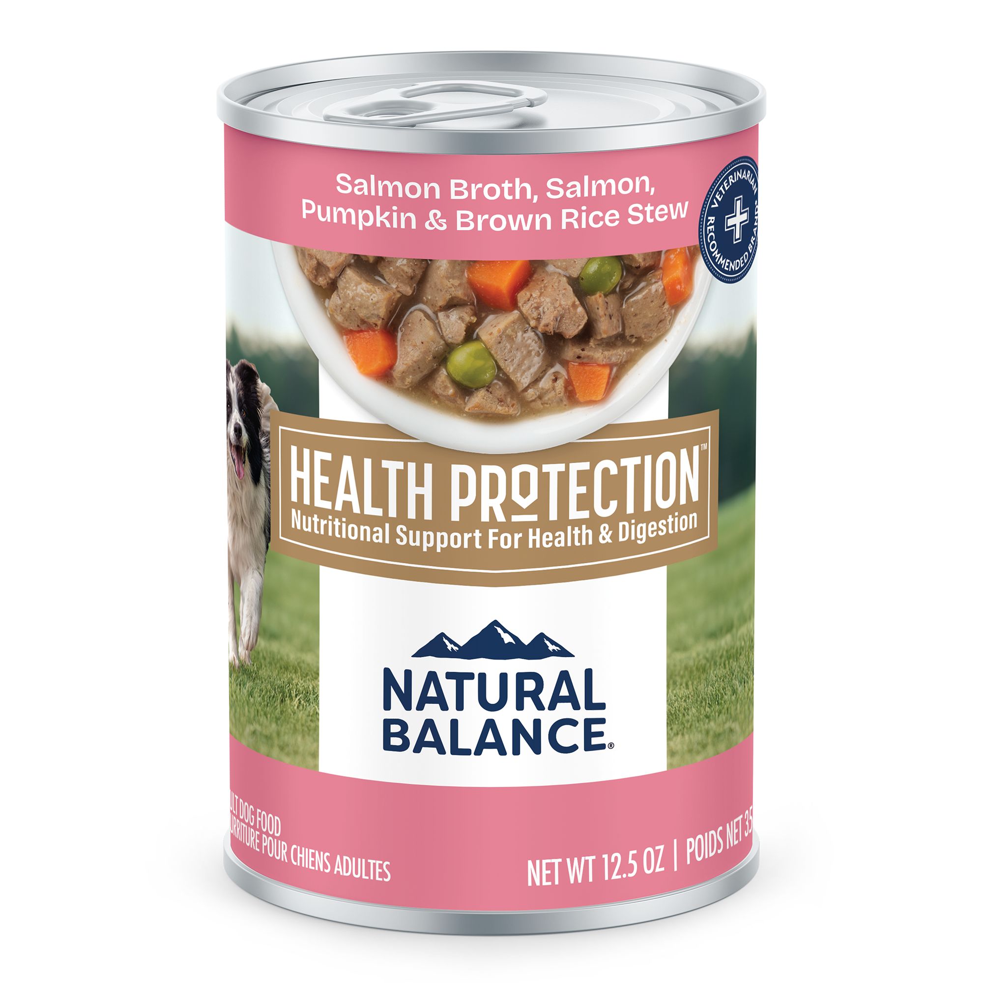 Natural Balance Health Protection Adult Wet Dog Food - Salmon, Pumpkin and Rice, 12.5 oz | PetSmart Brown