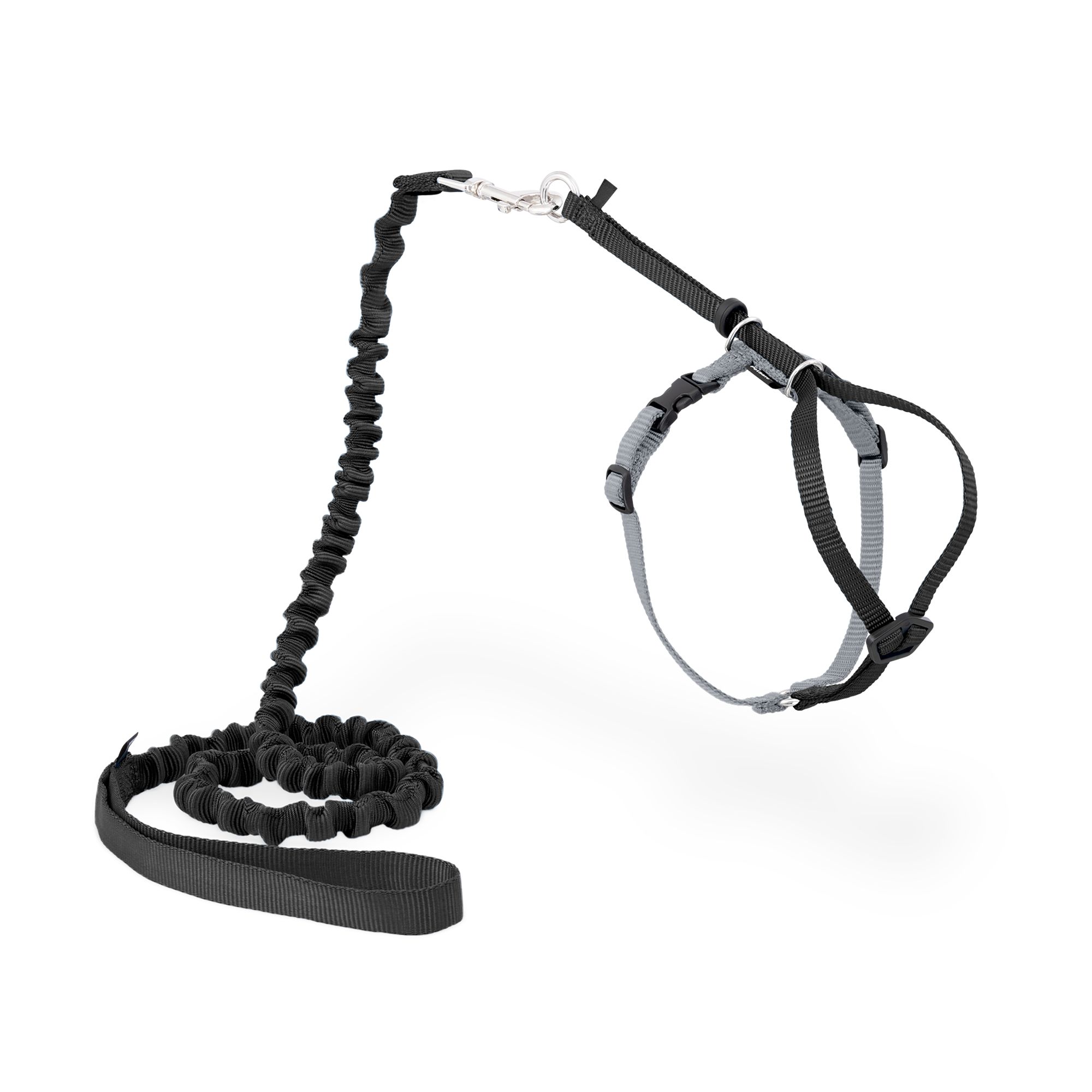 PetSafe Come With Me Kitty; Harness and Bungee Leash - Black, Size: Large | PetSmart