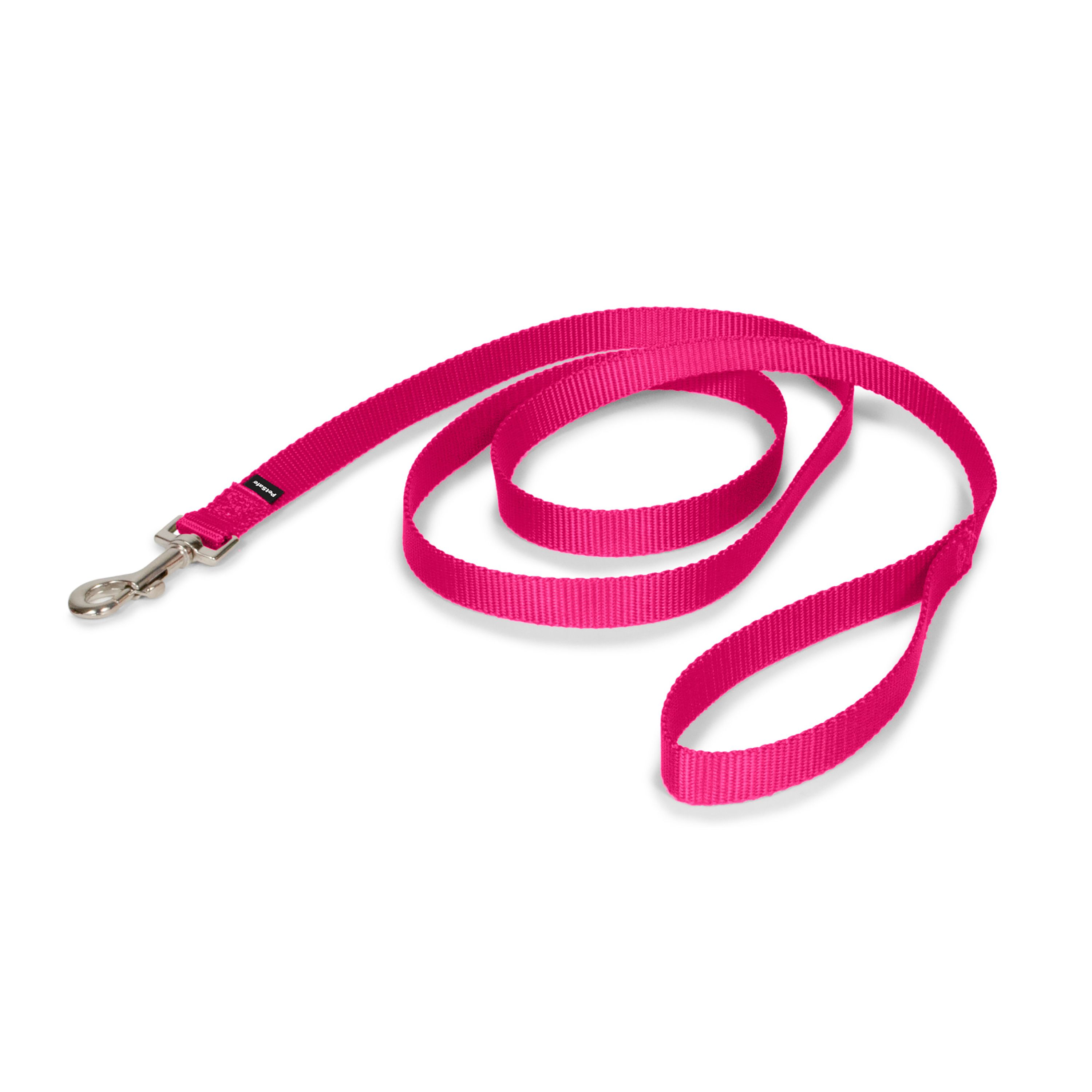 PetSafe Nylon Dog Leash in Raspberry, Size: 6 FT | PetSmart