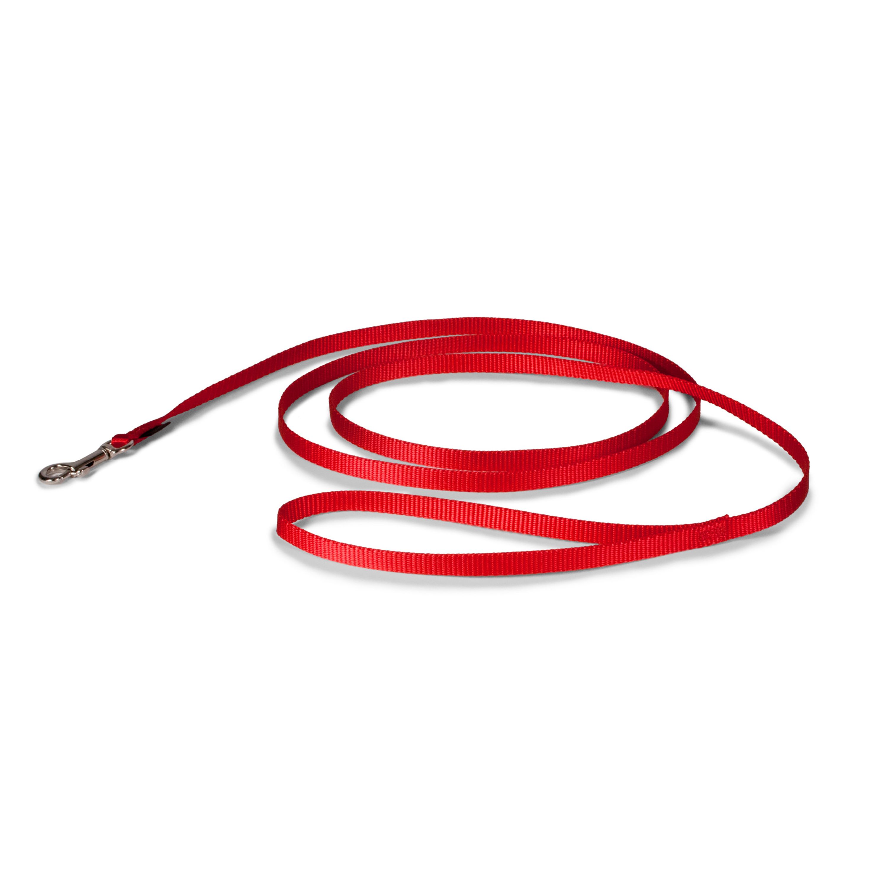 PetSafe Nylon Dog Leash in Red, Size: 6 FT | PetSmart