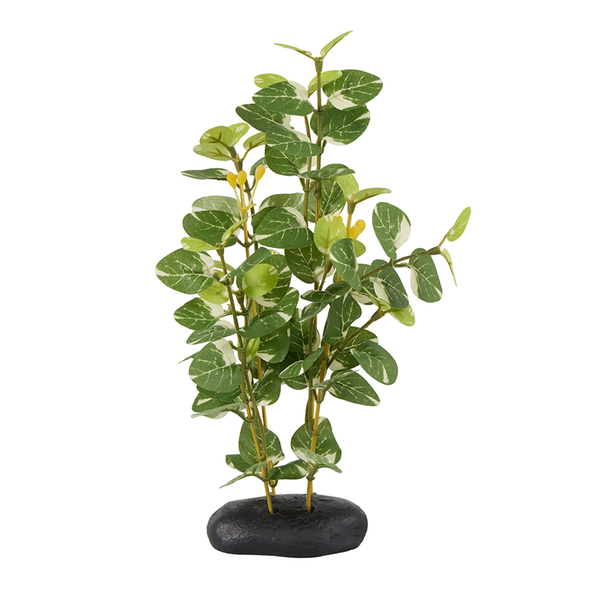 Top Fin Green Aquarium Tank Plant | PetSmart